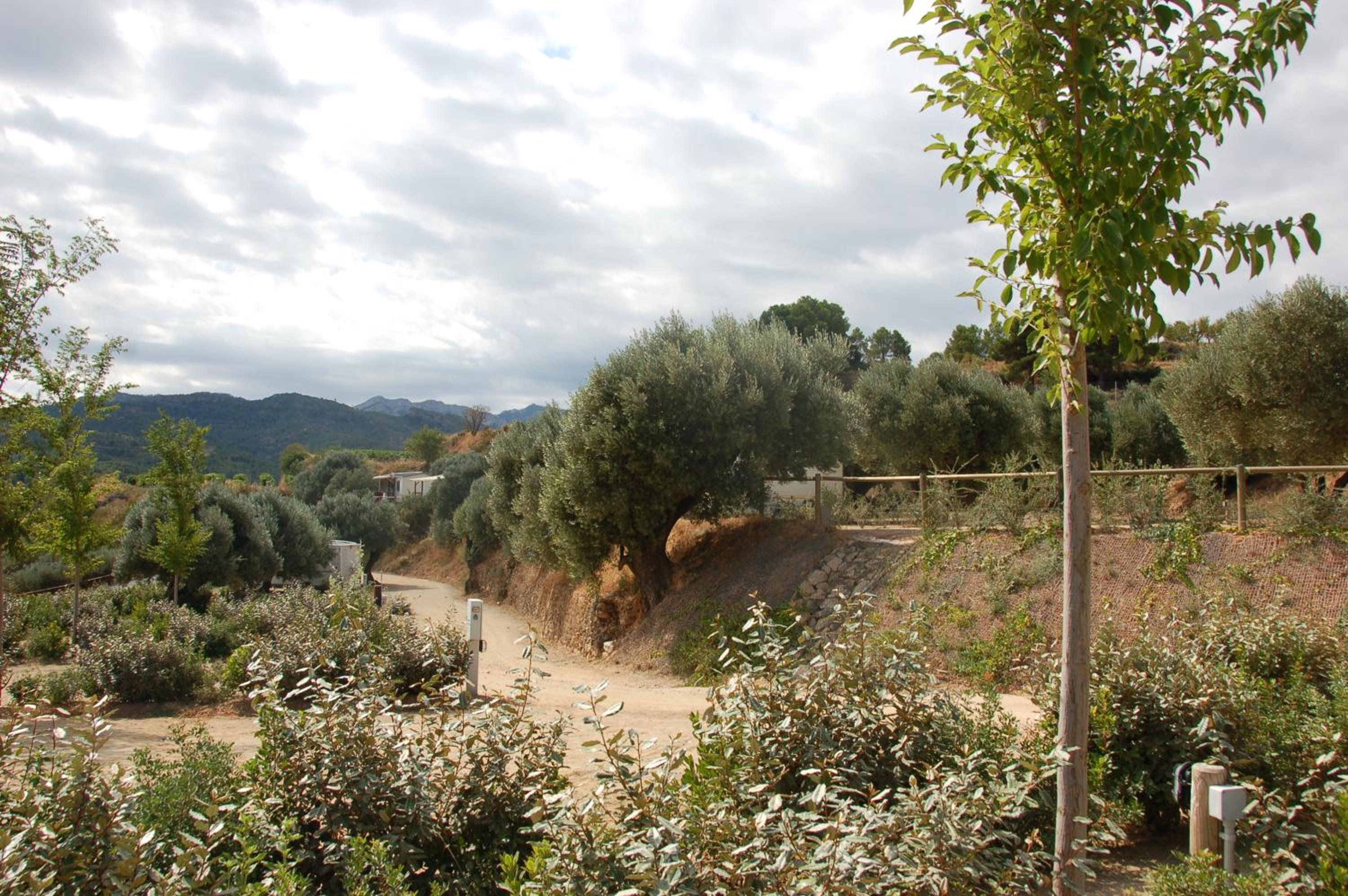 Càmping Terra Alta