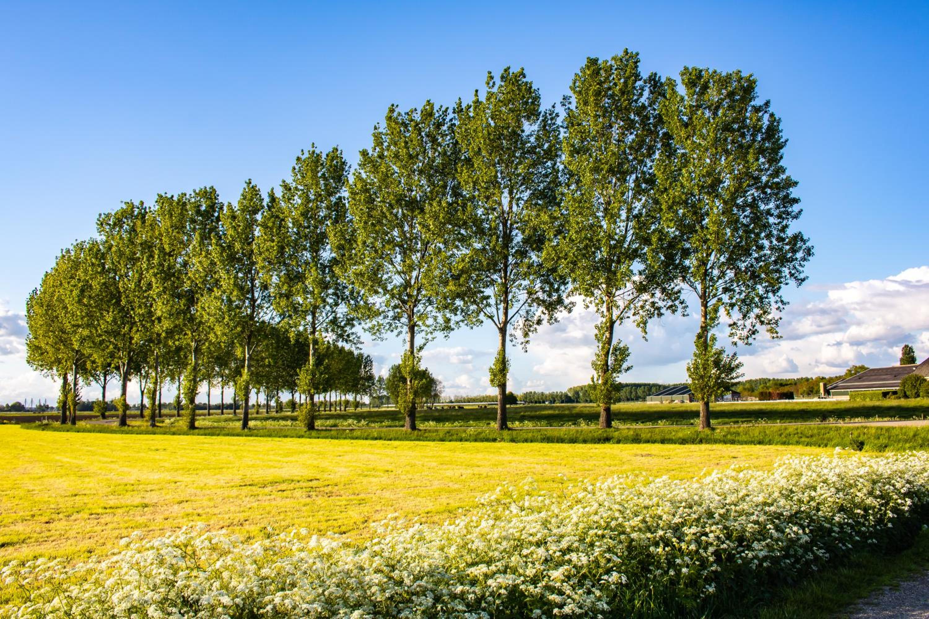 Van Doremaele Luxury Guesthouse