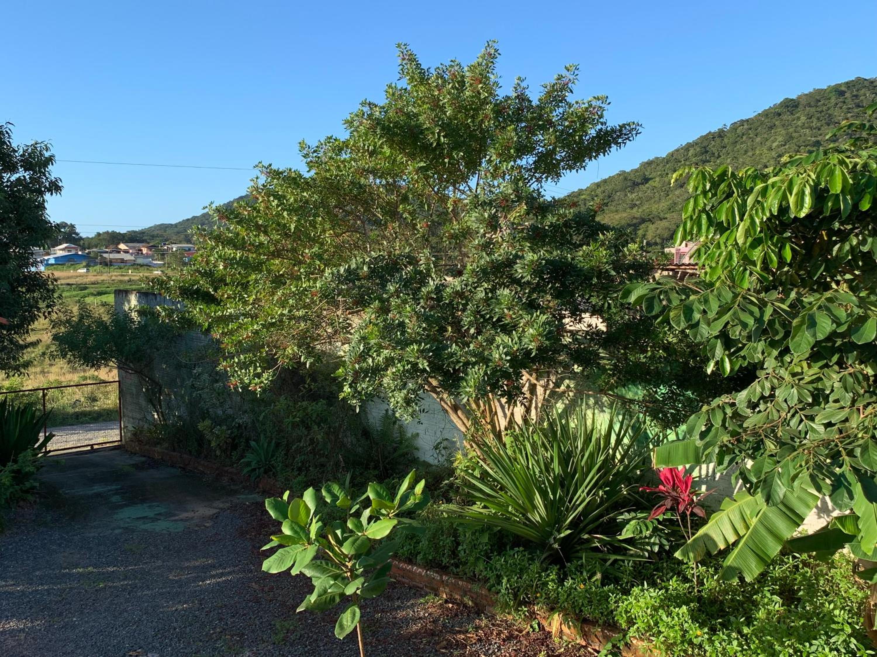 AymuraY Hostel e Pousada
