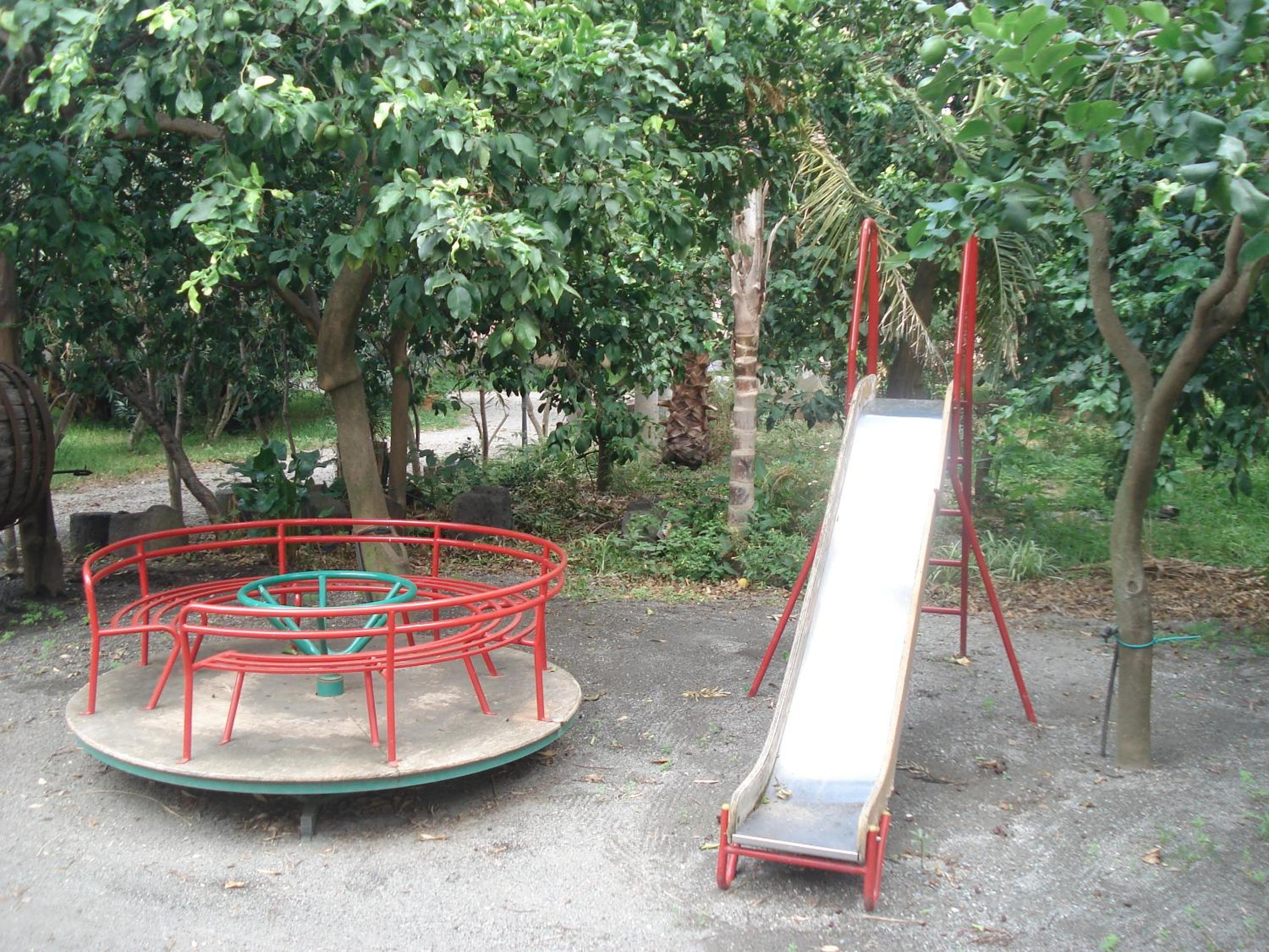 Photo 49