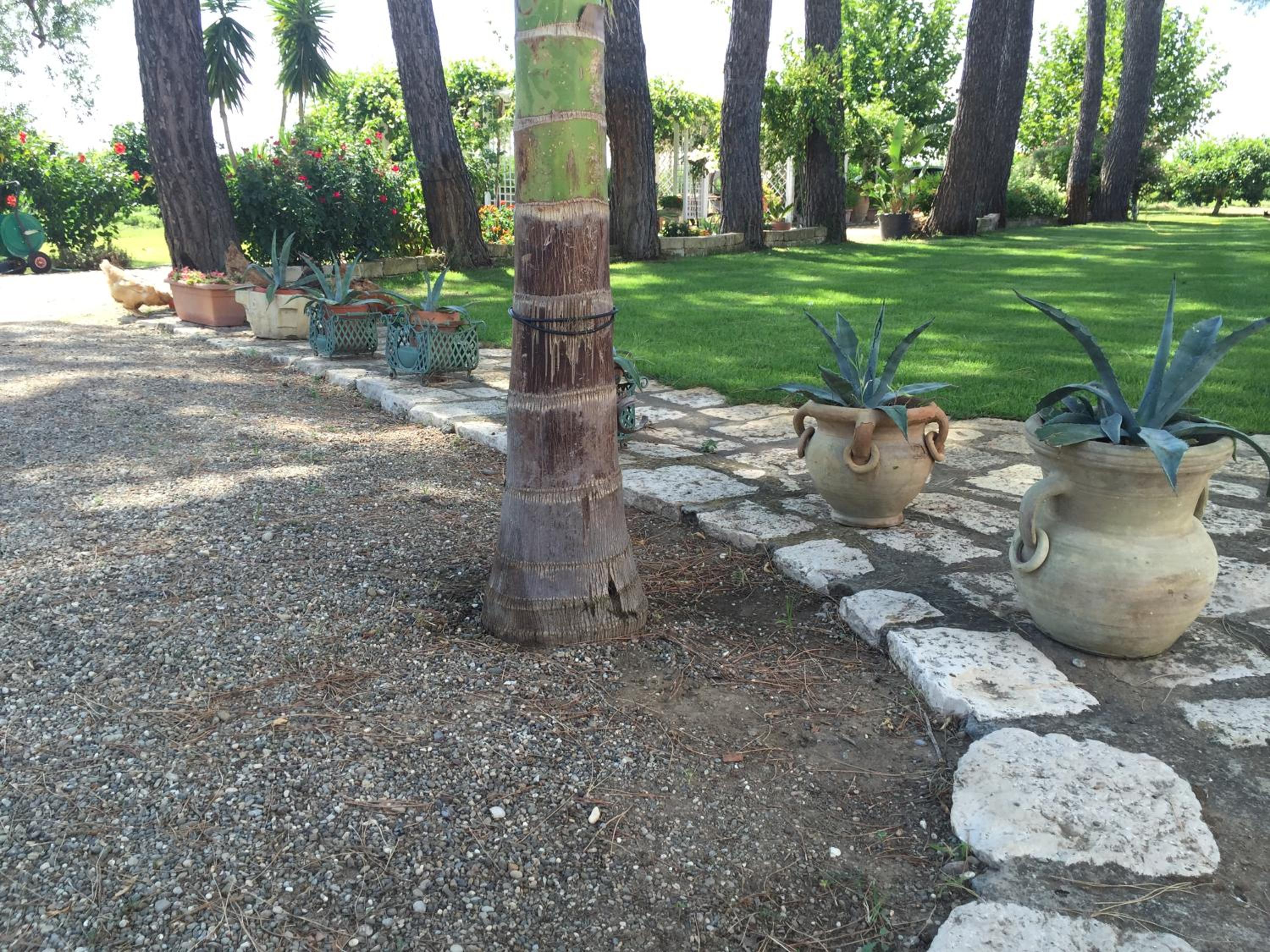 Agriturismo La Stornara, Petfriendly & EV Friendly