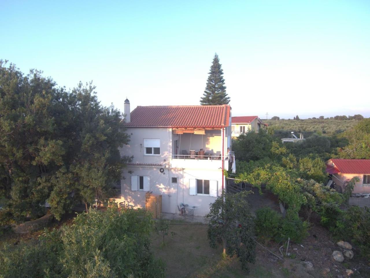 Photo 20