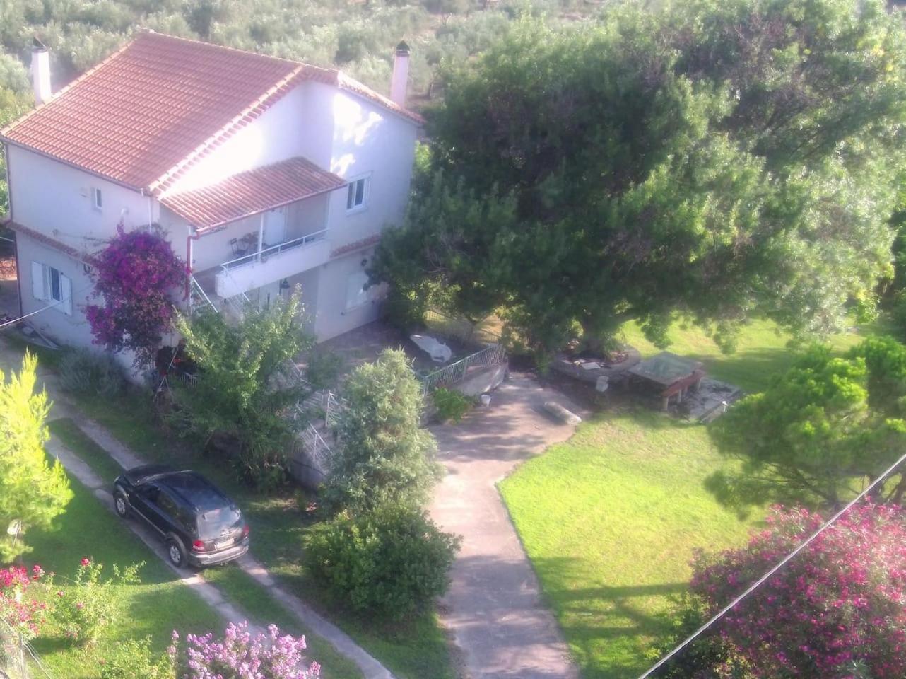 Comfortable Apartment Near The Sea view 2