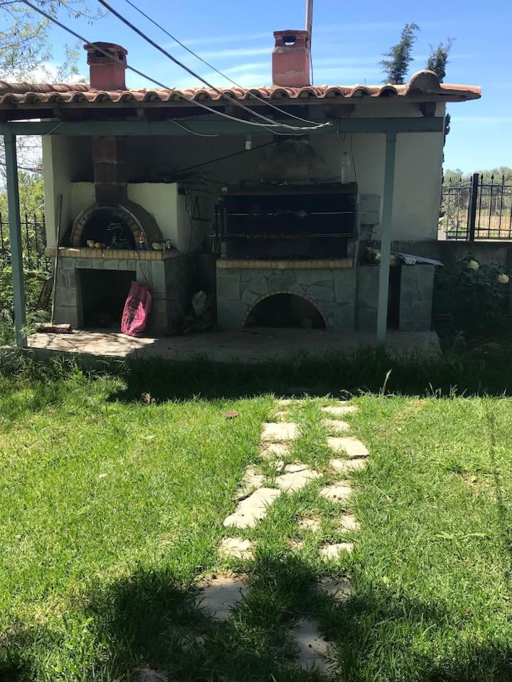 Photo 23