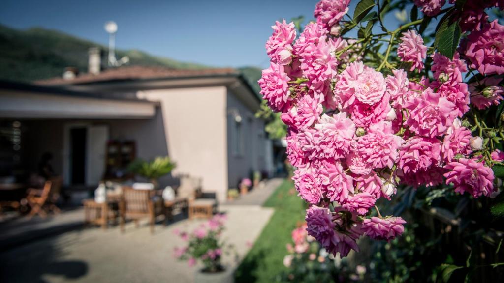 Casa Vittoria view 5