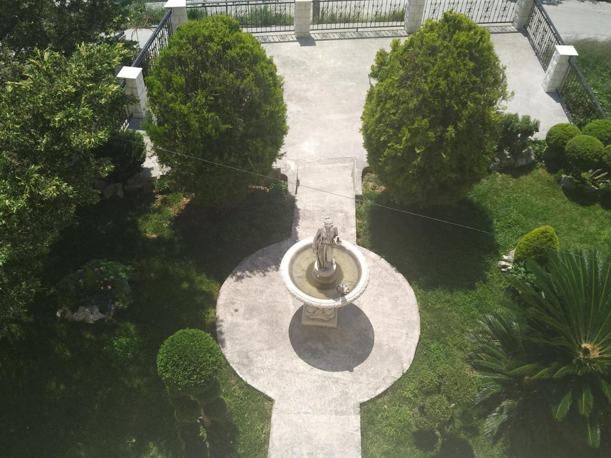 Photo 11