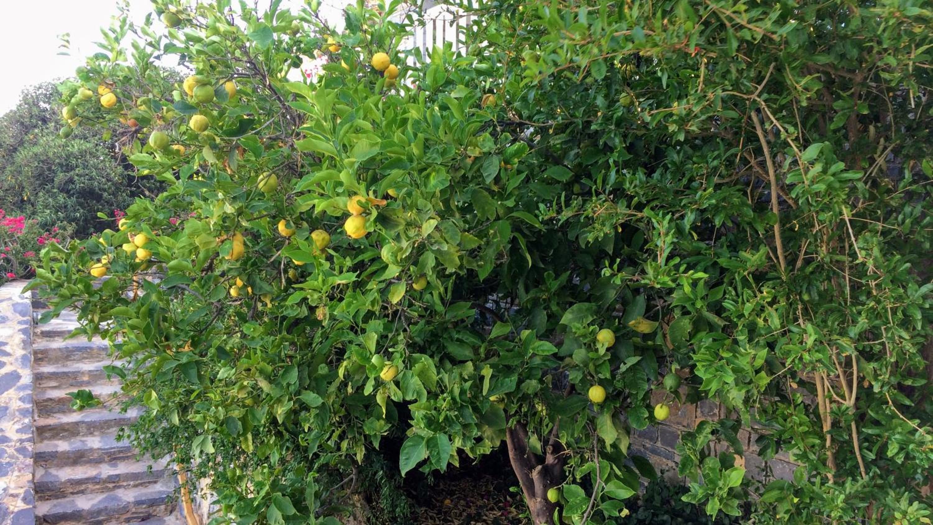 Photo 46