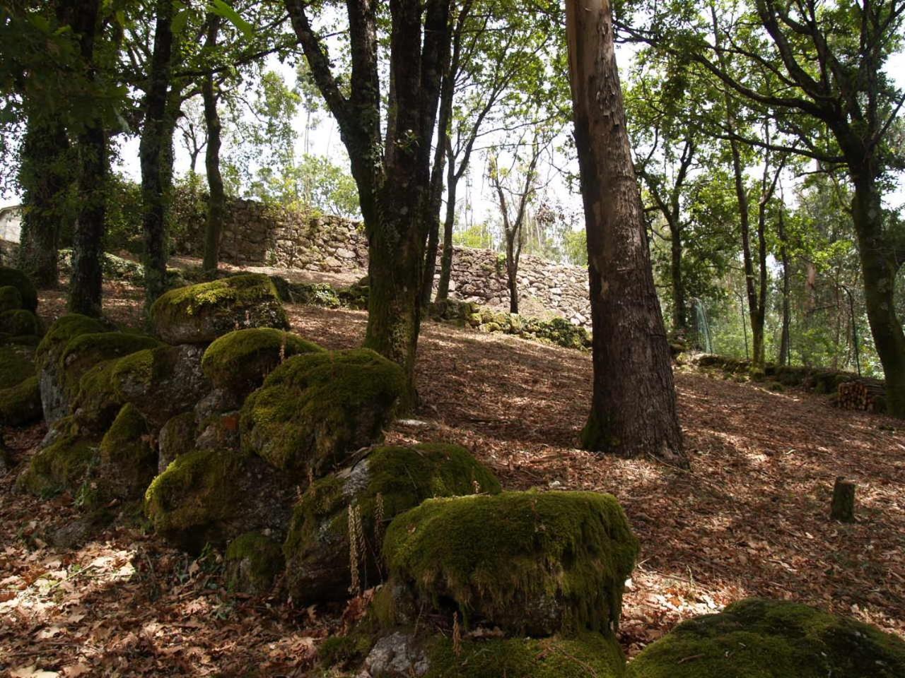 Photo 47