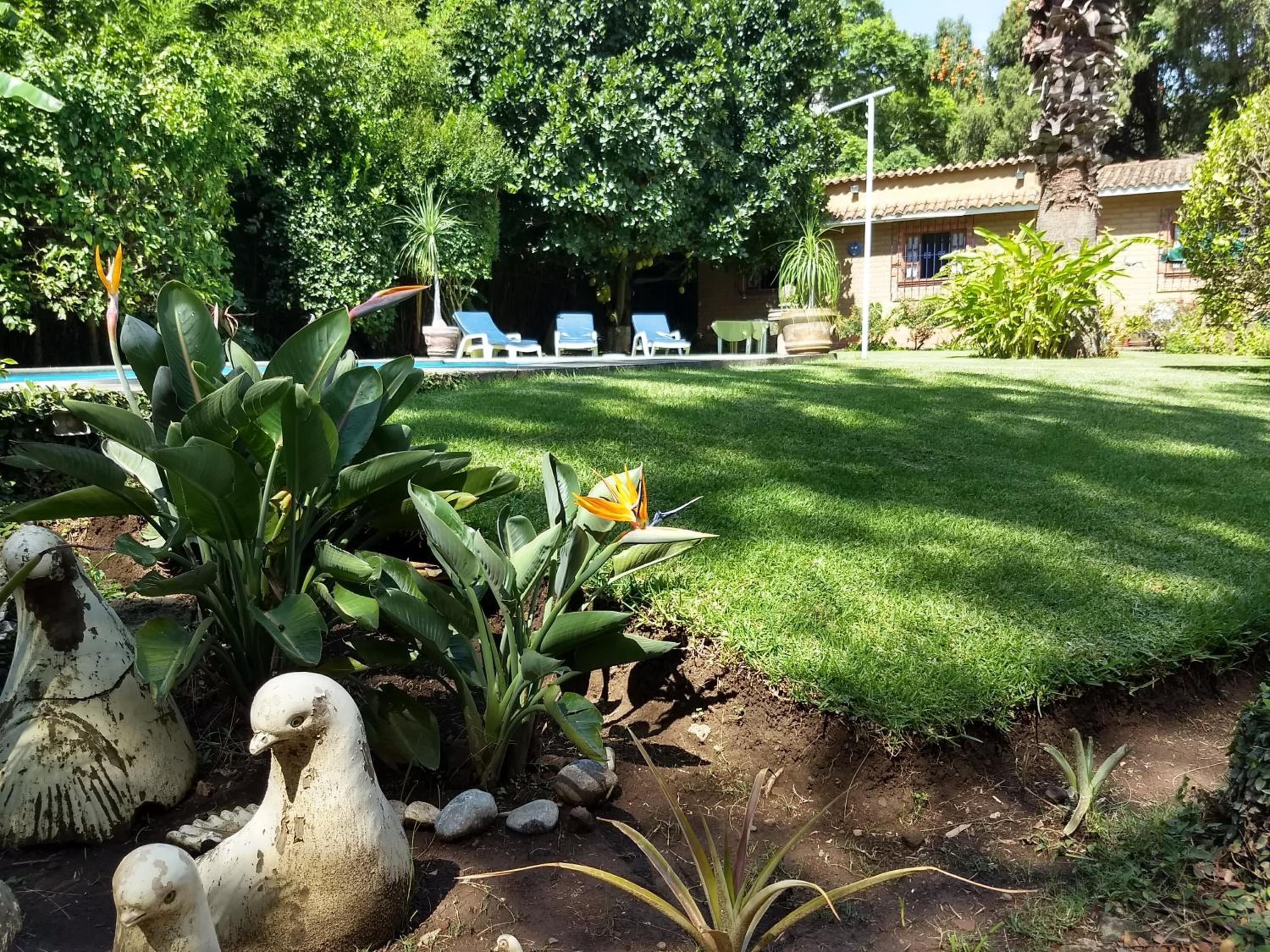 El Refugio de las Palomas