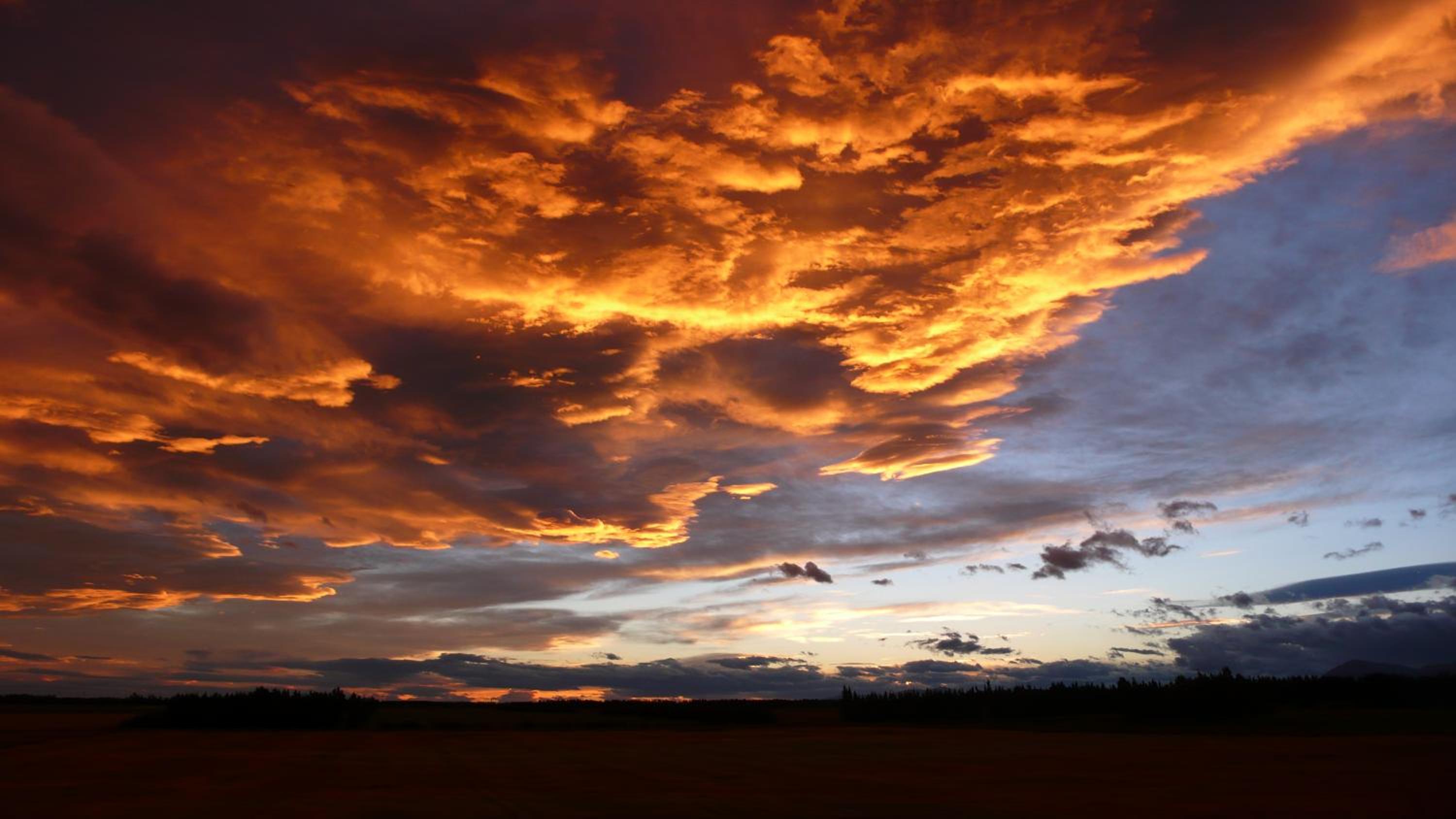 Gunyah Country Estate view 5