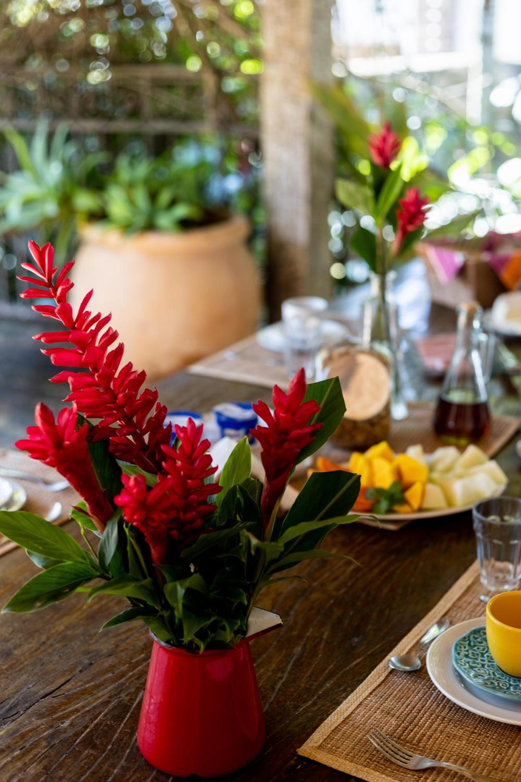Ilhabela Homestay