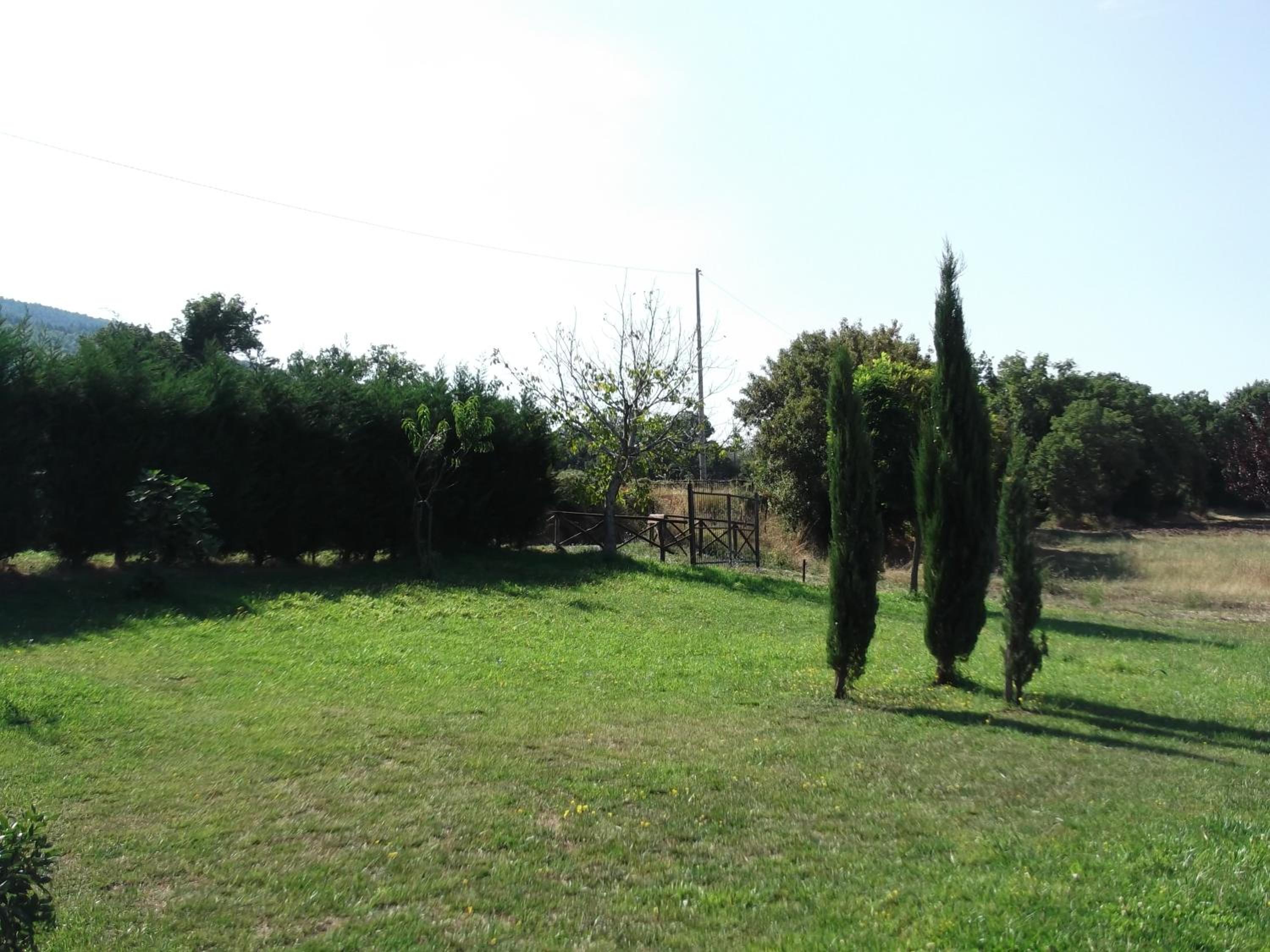 Photo 25