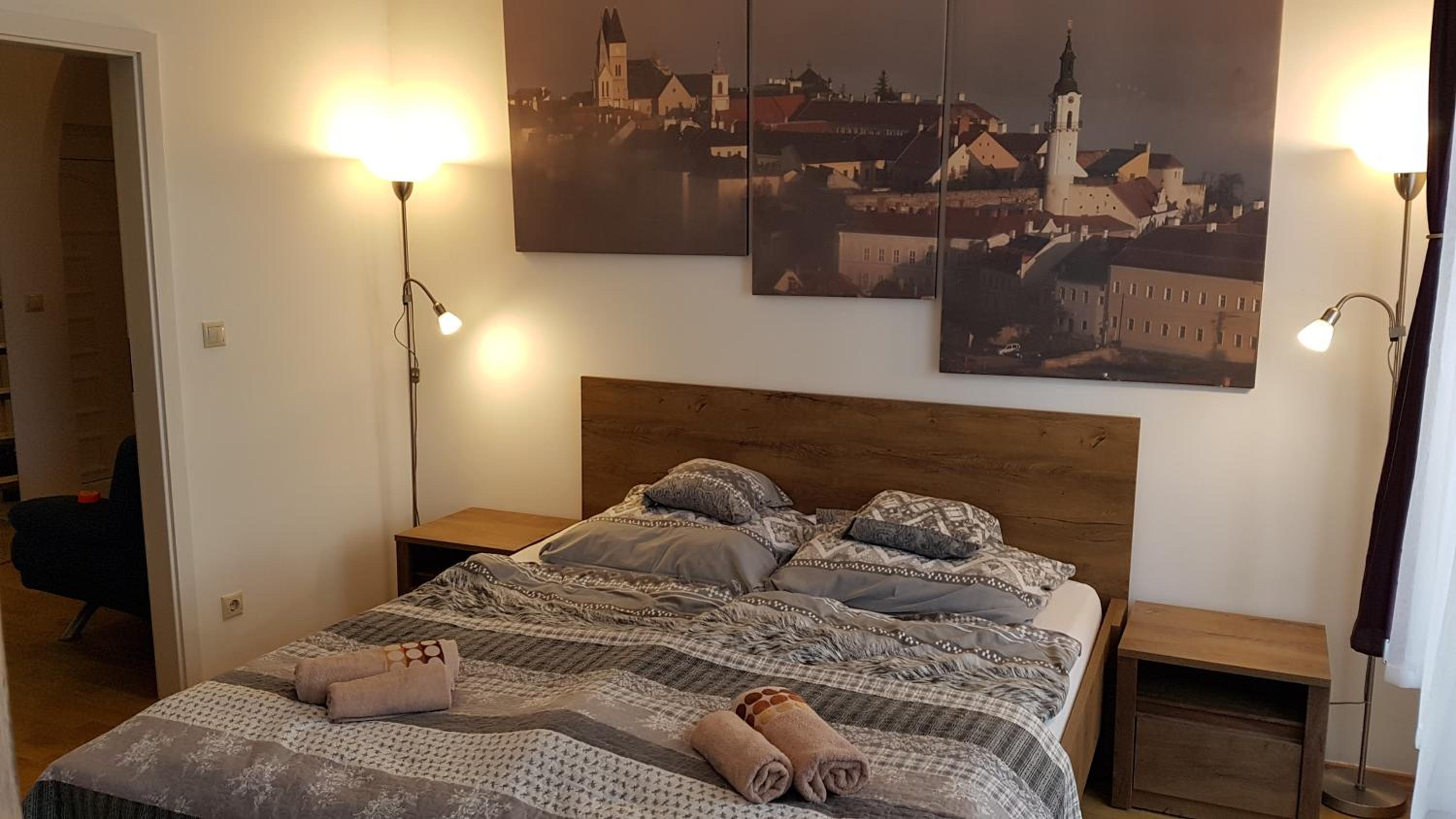 Sarolt Apartman view 3