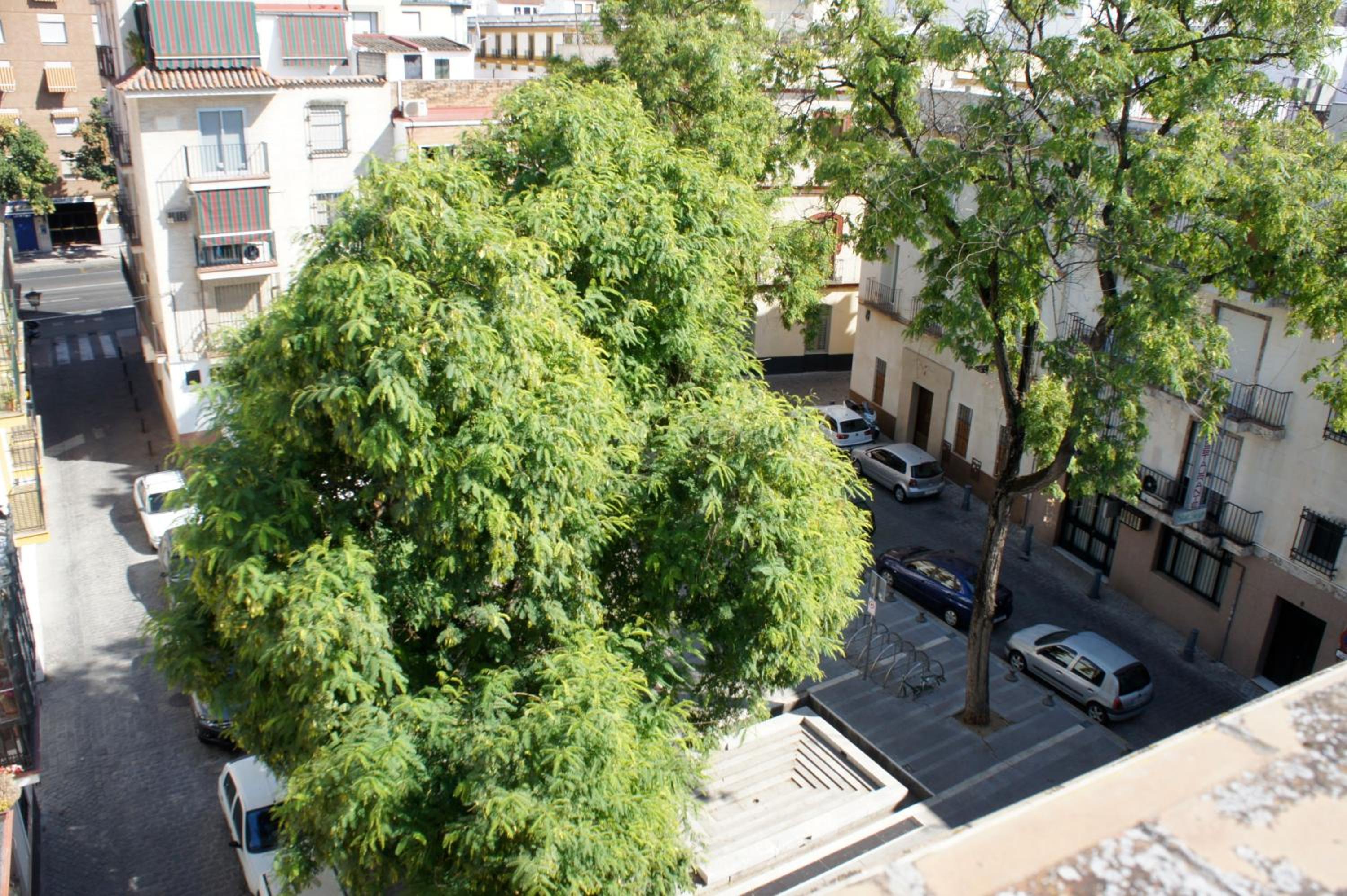 Pension Perez Montilla