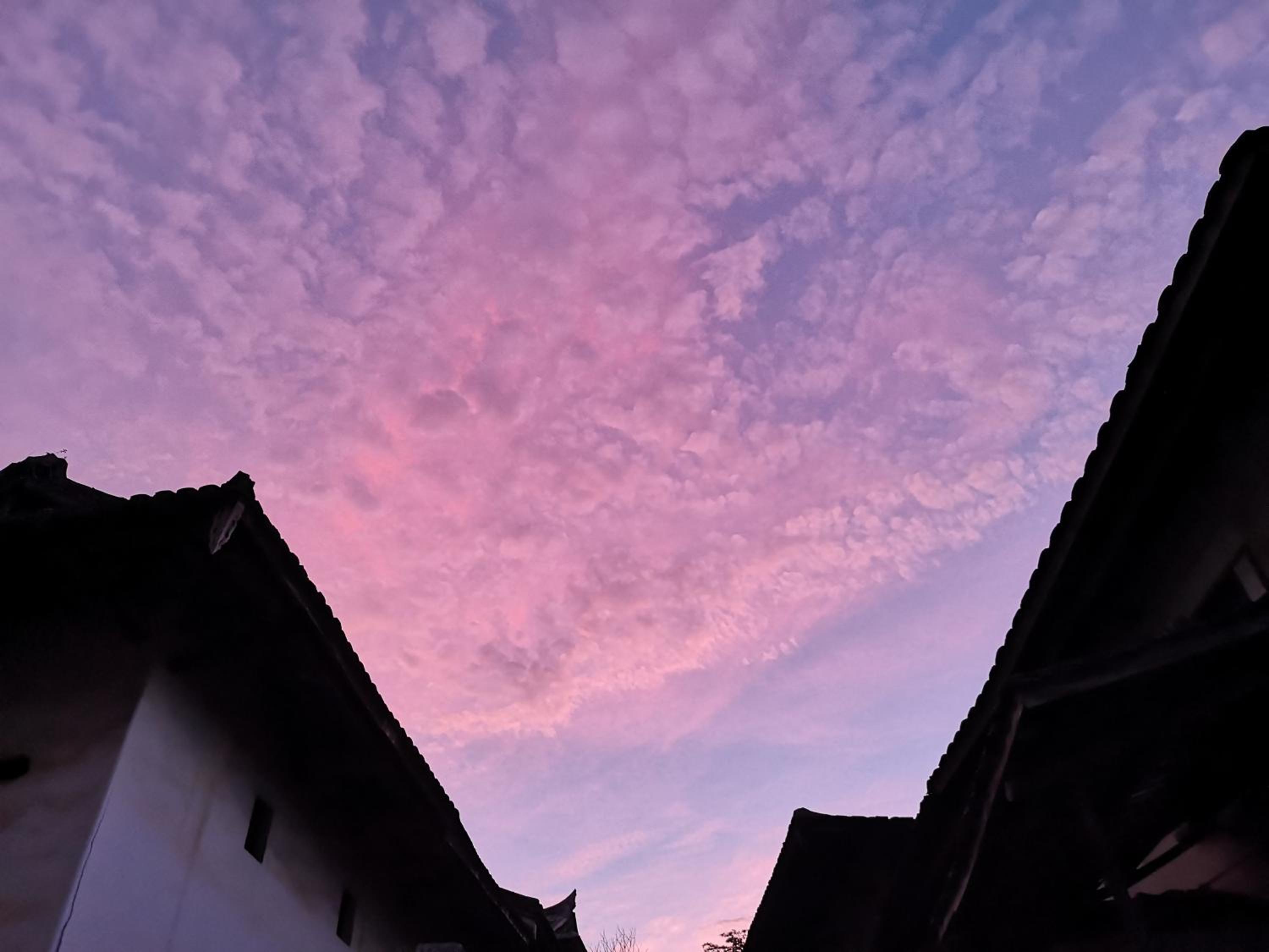 Tulou Fuyulou Changdi Inn