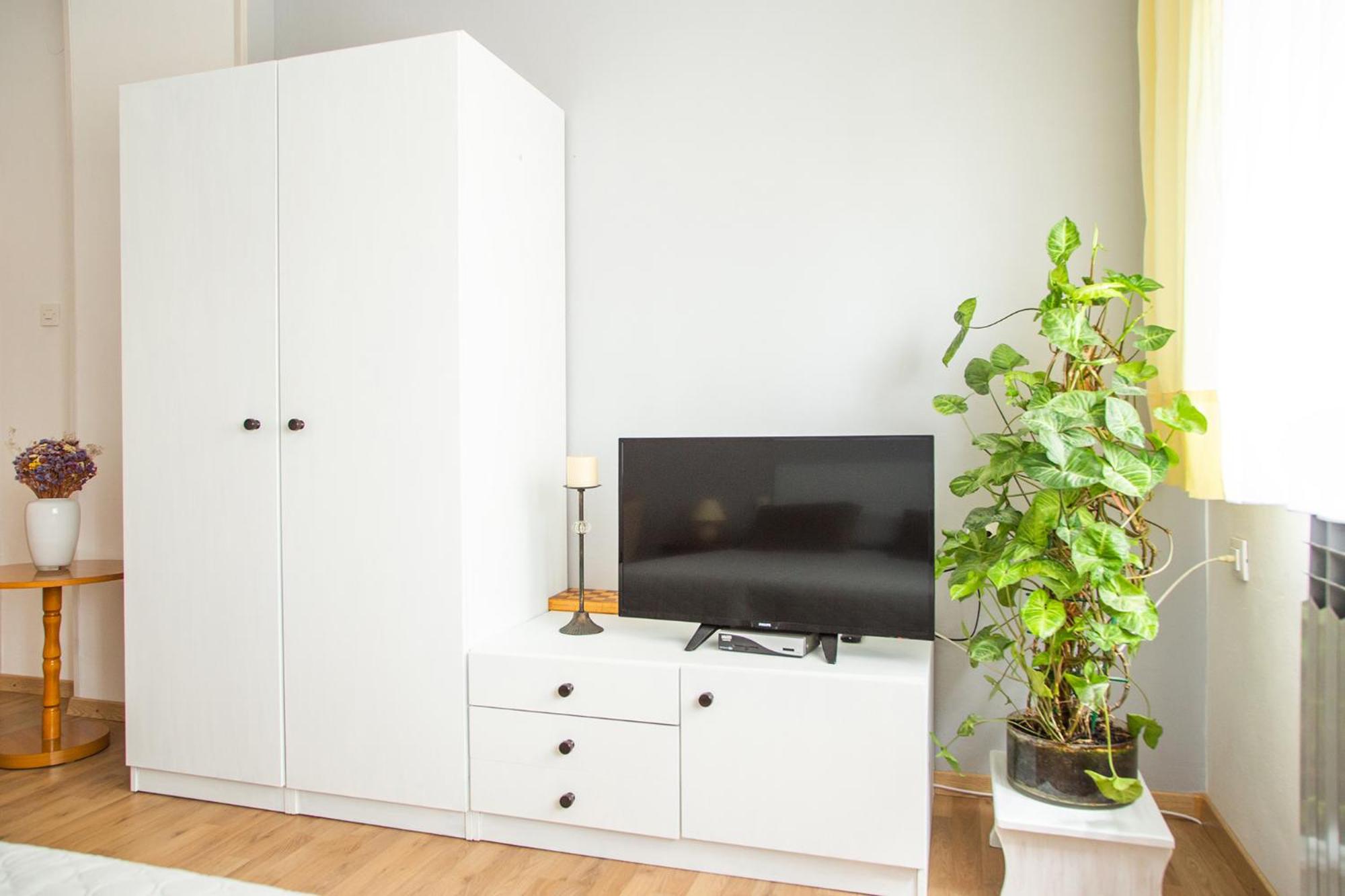 Apartman Japlenški view 4