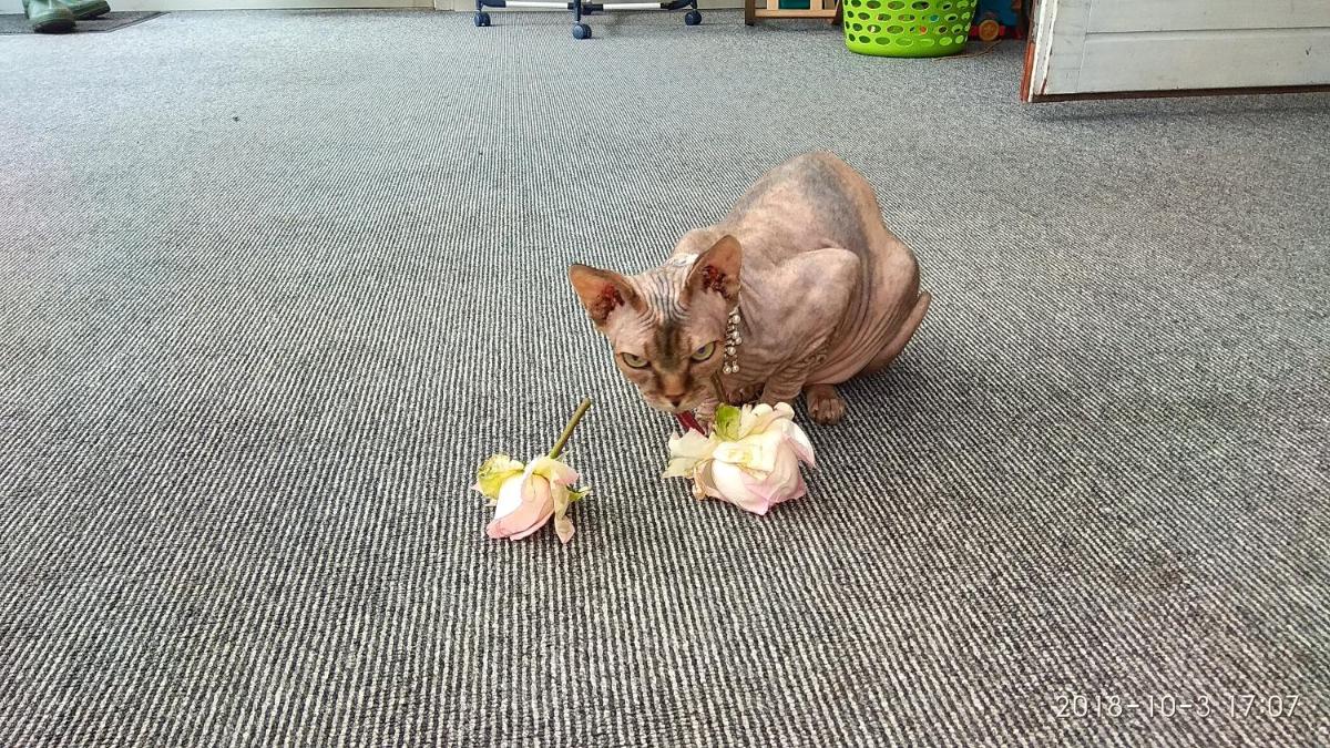 Photo 22