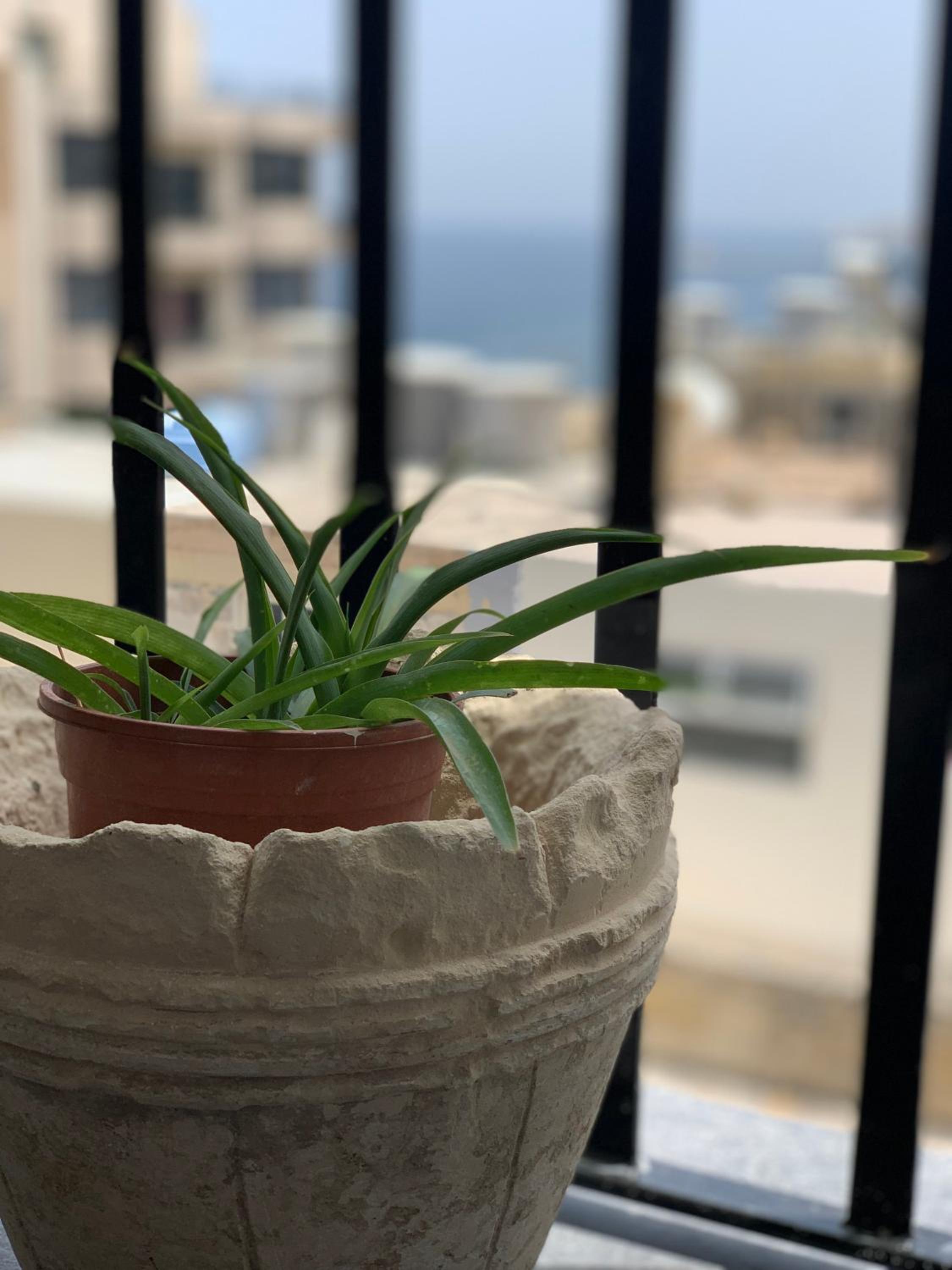 Spacious seaview Sliema Apt, steps from Valletta Ferry