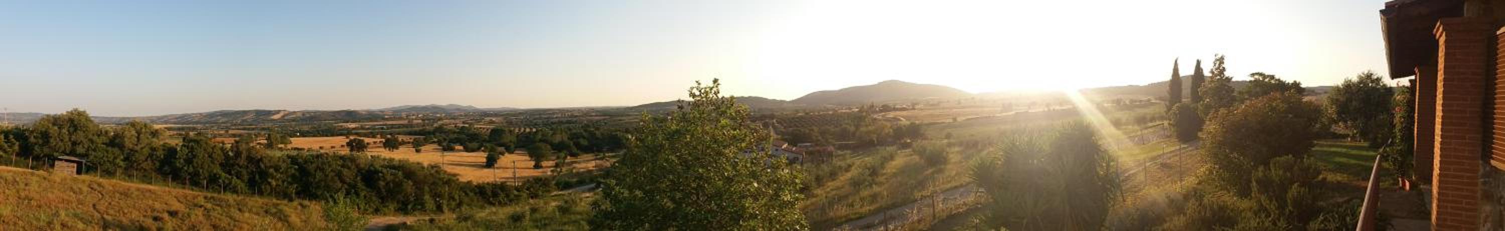Photo 28