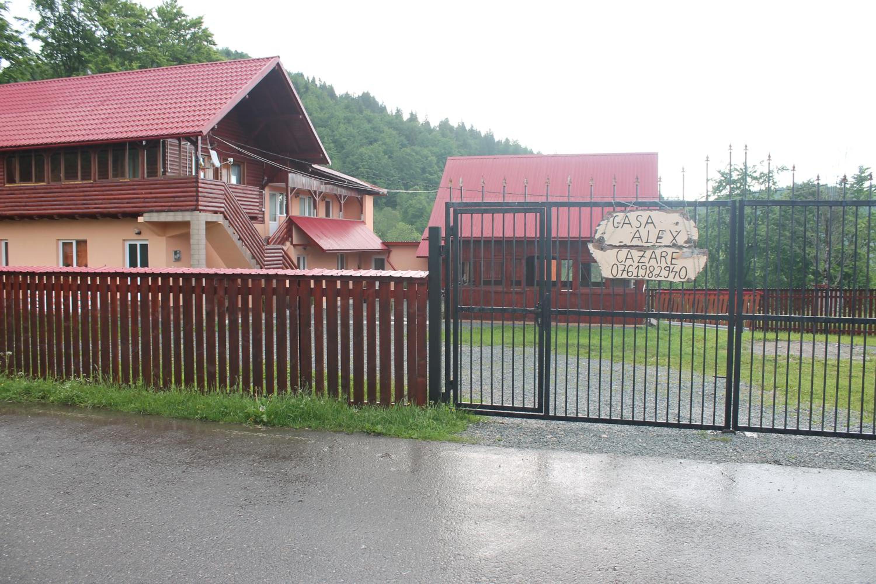 Photo 8