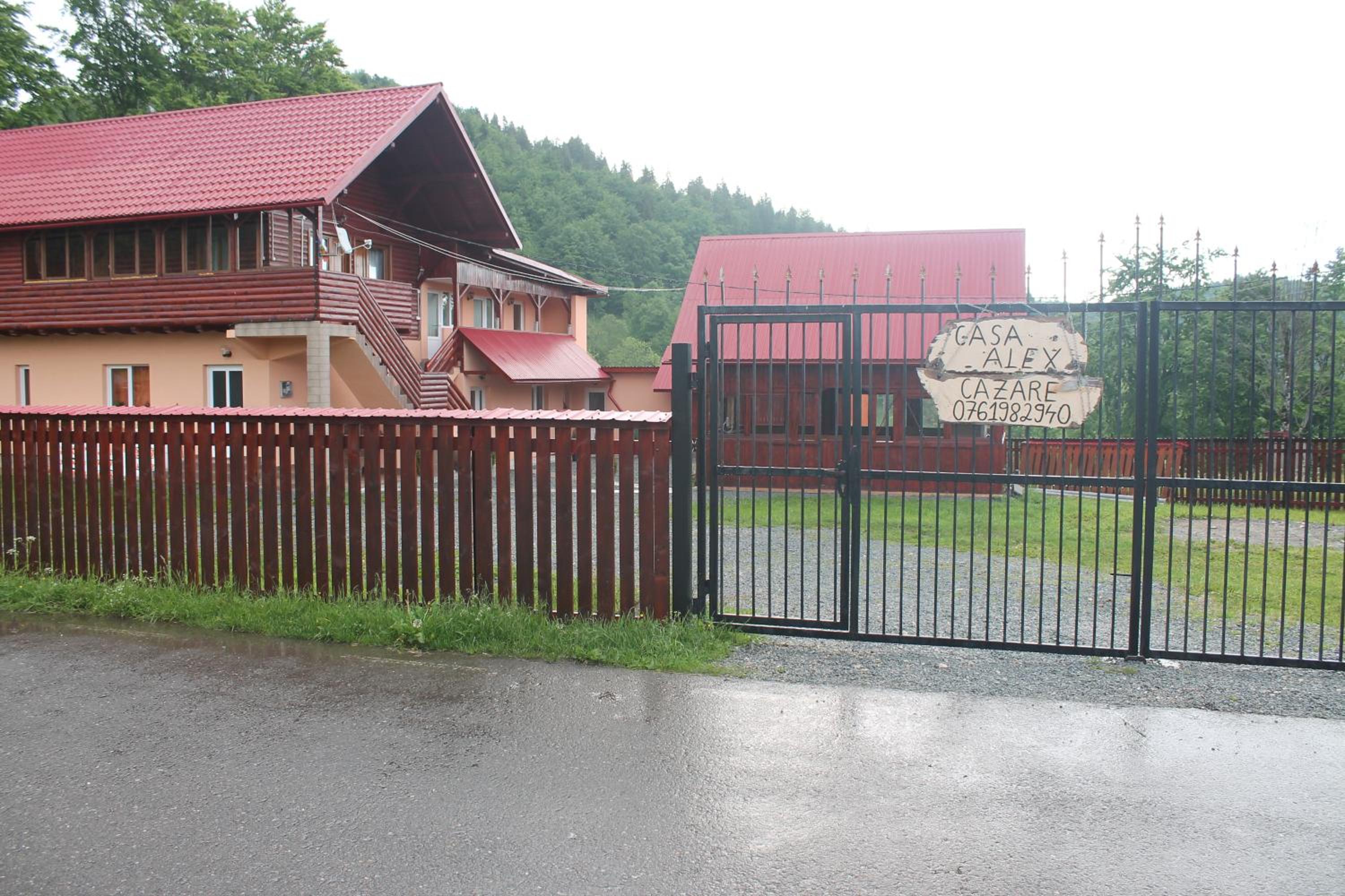 Photo 7