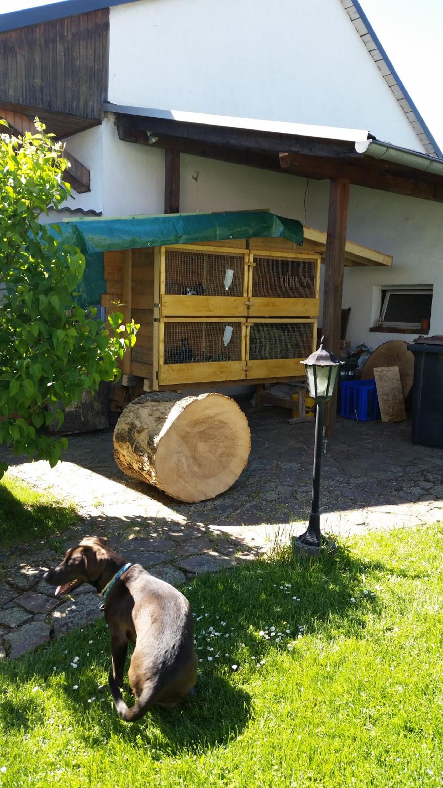 Ferienwohnung Rucksack-Bimbes, photo 12