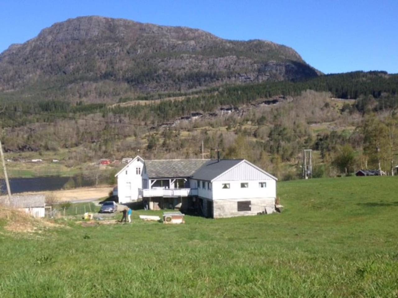 Photo 23