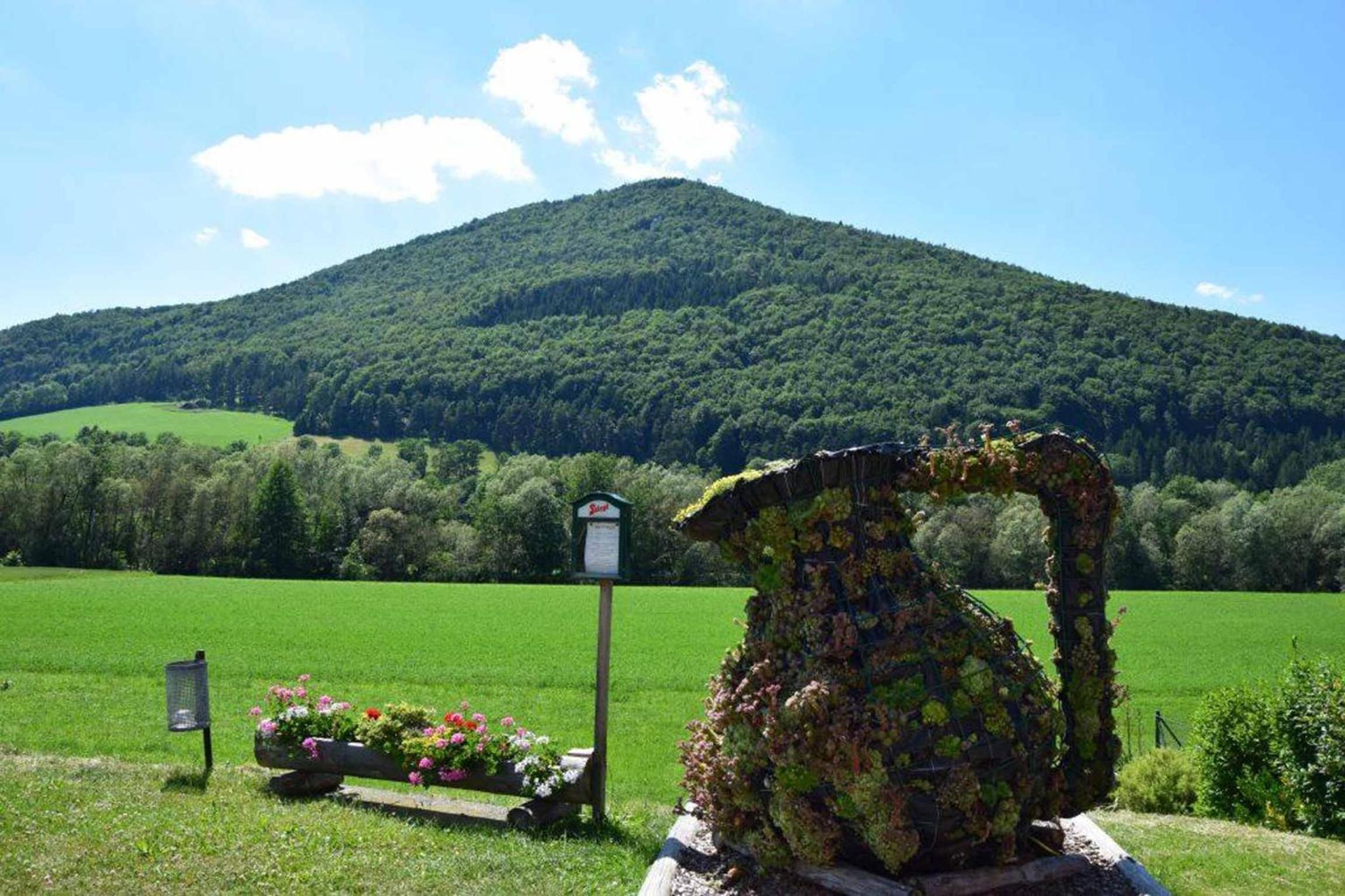 Gasthof Pichler view 3