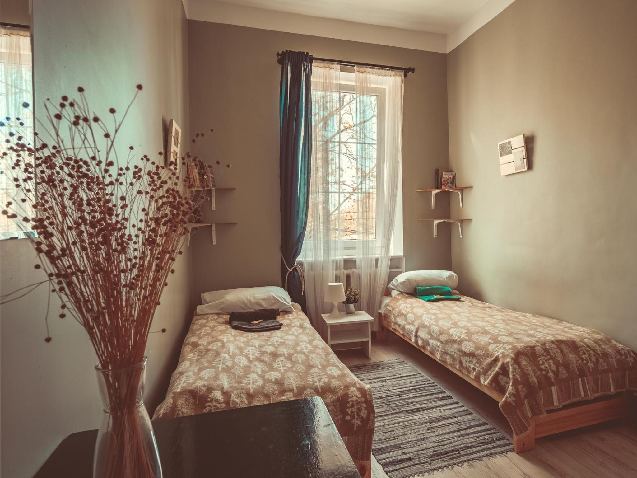 Downtown Forest Hostel & Camping