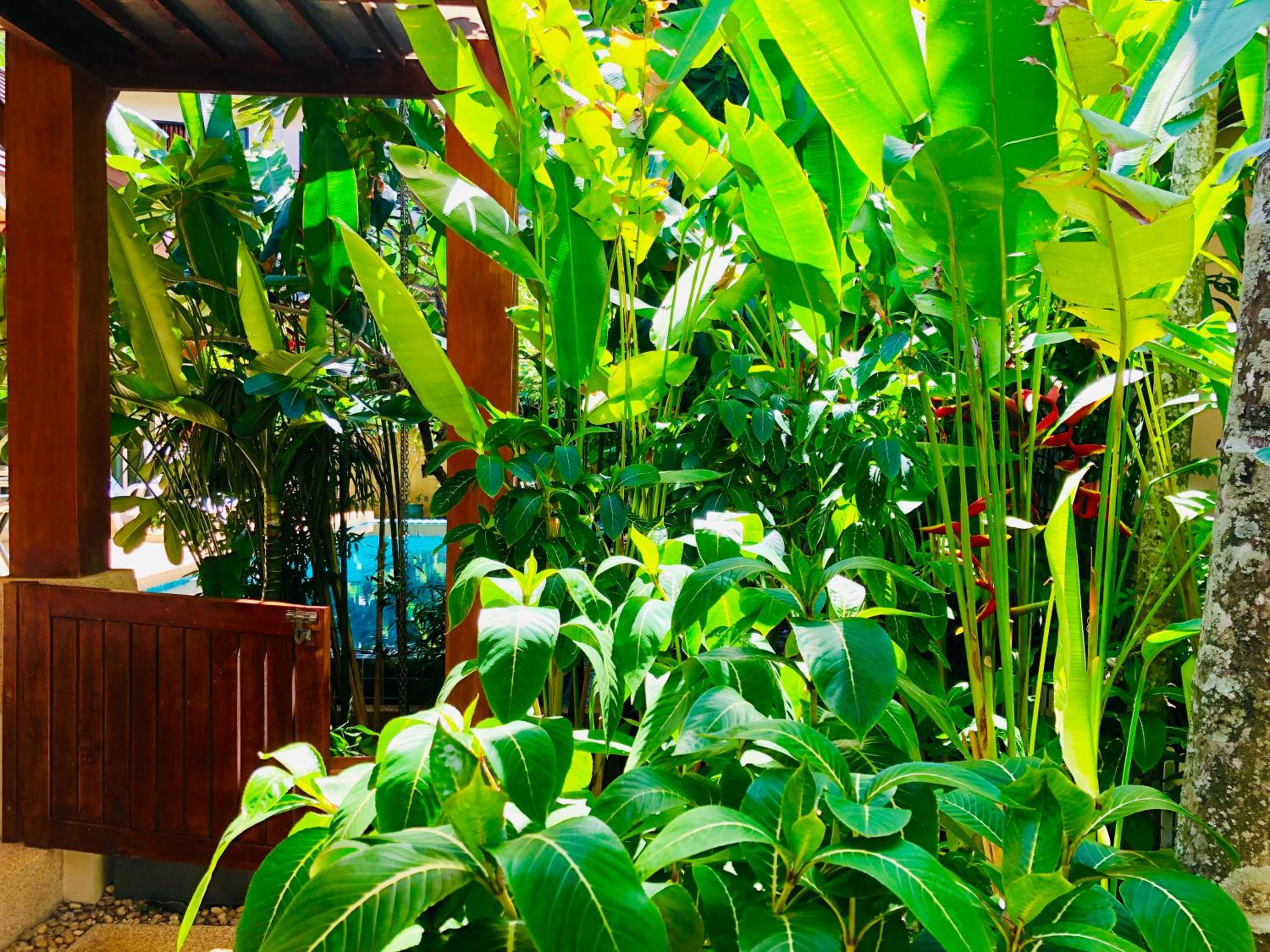 Thai Family karon Pool Villa 泰如家卡伦3卧泳池别墅 view 2