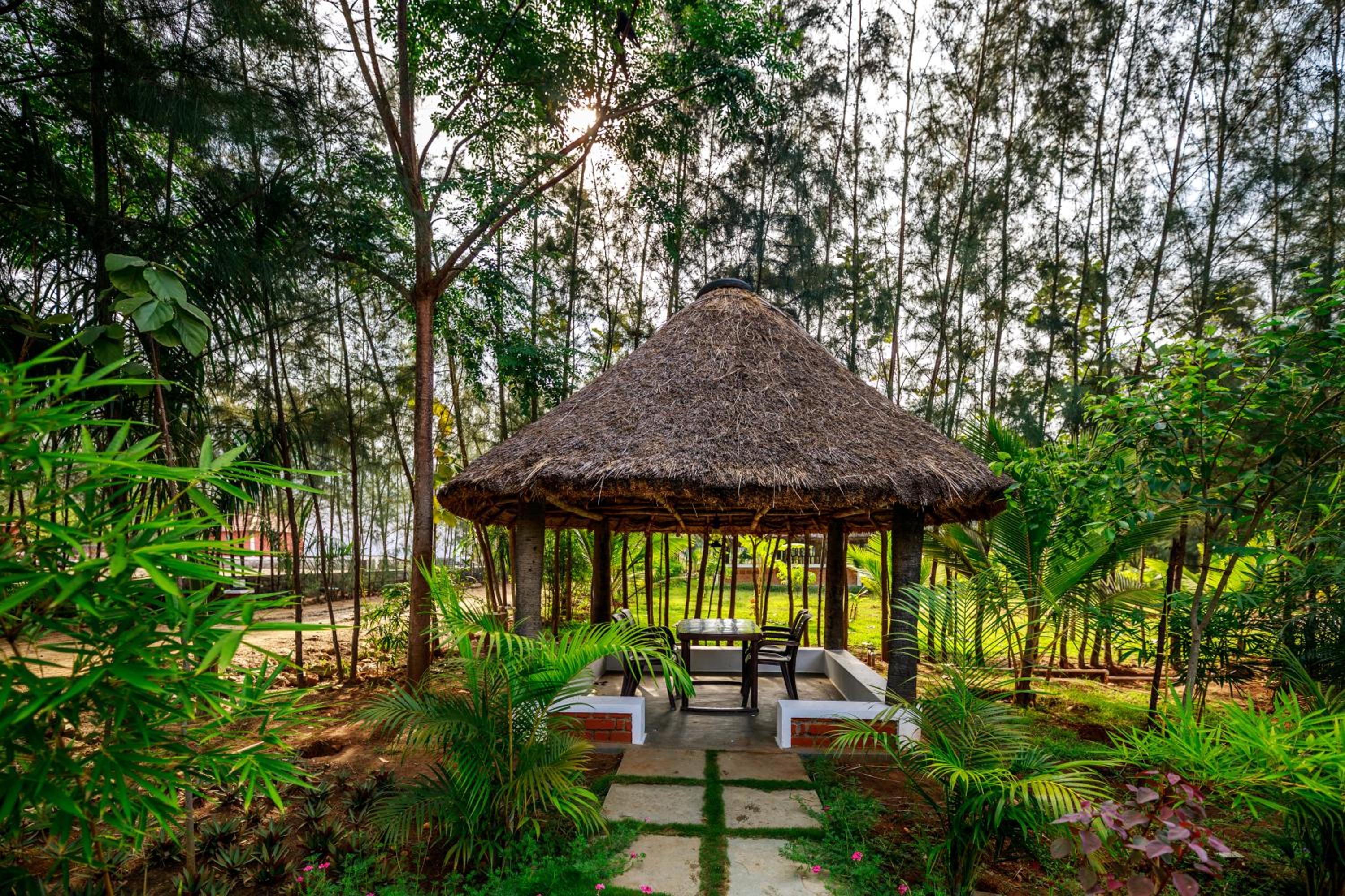 SR Jungle Resort