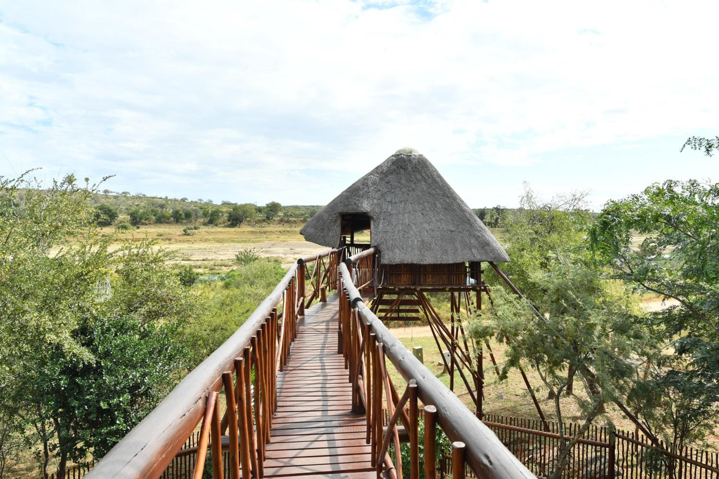 Bona Ngwenya Lodge & Safaris view 4
