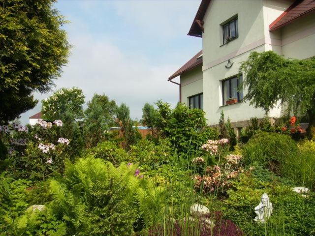 Photo 31
