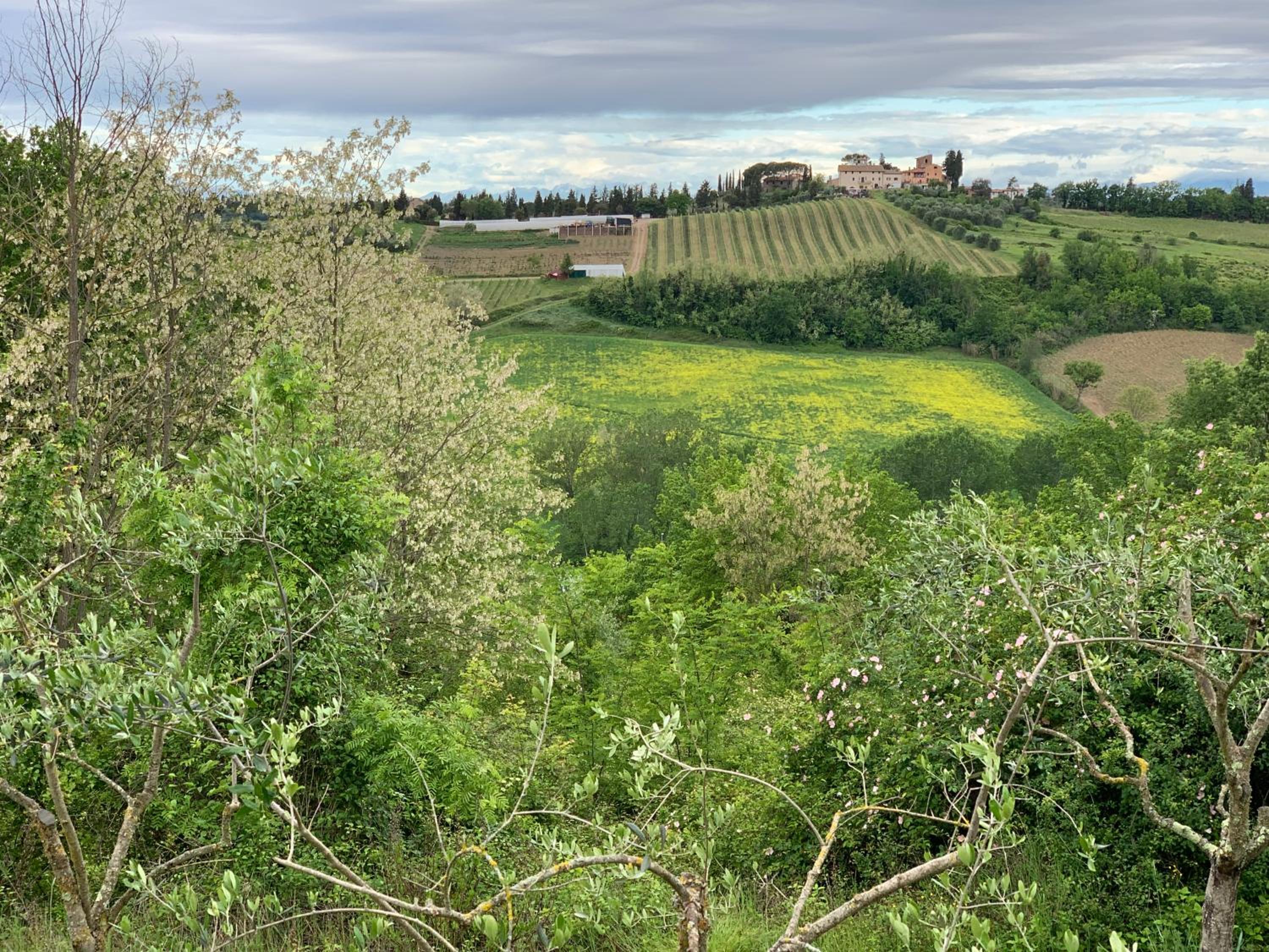 La Volpaia 1521