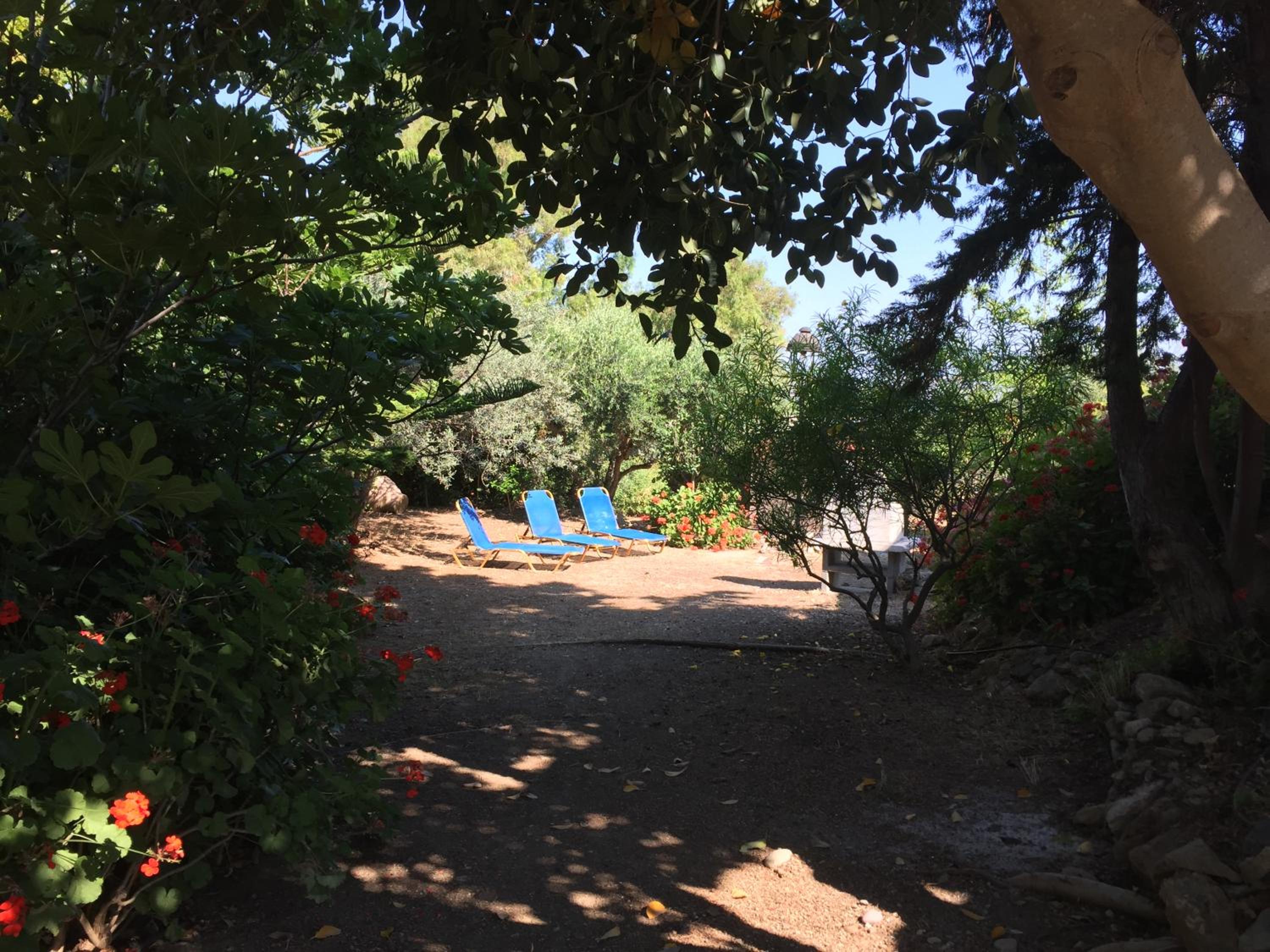 Photo 27