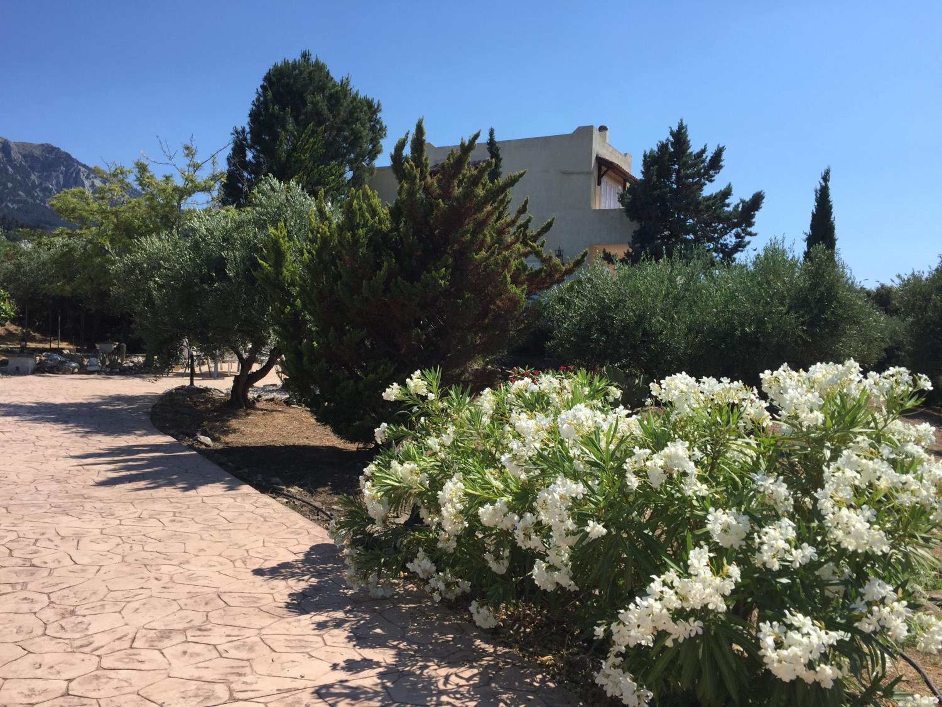 Photo 26
