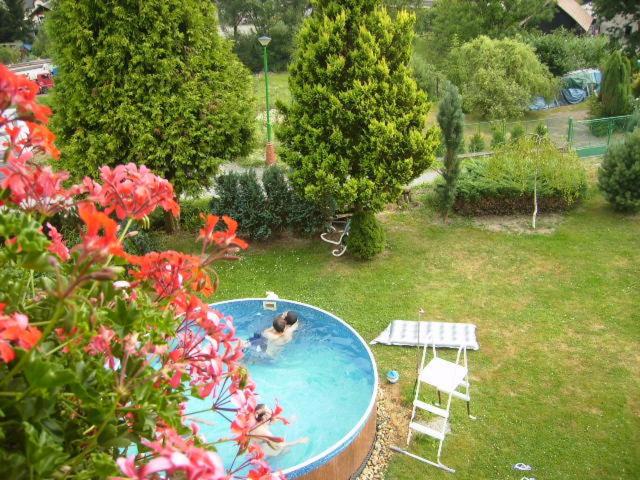 Photo 40
