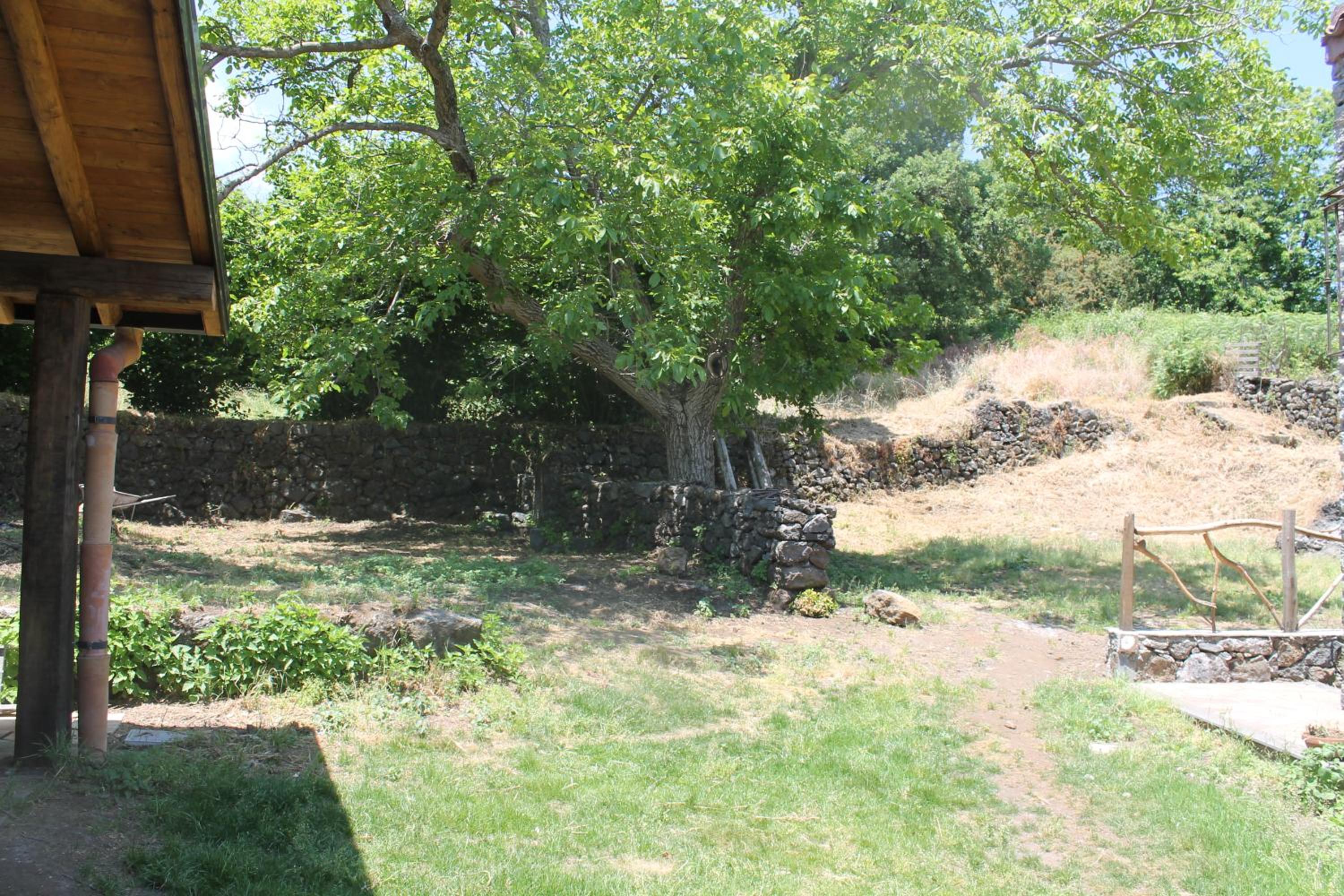 Photo 52