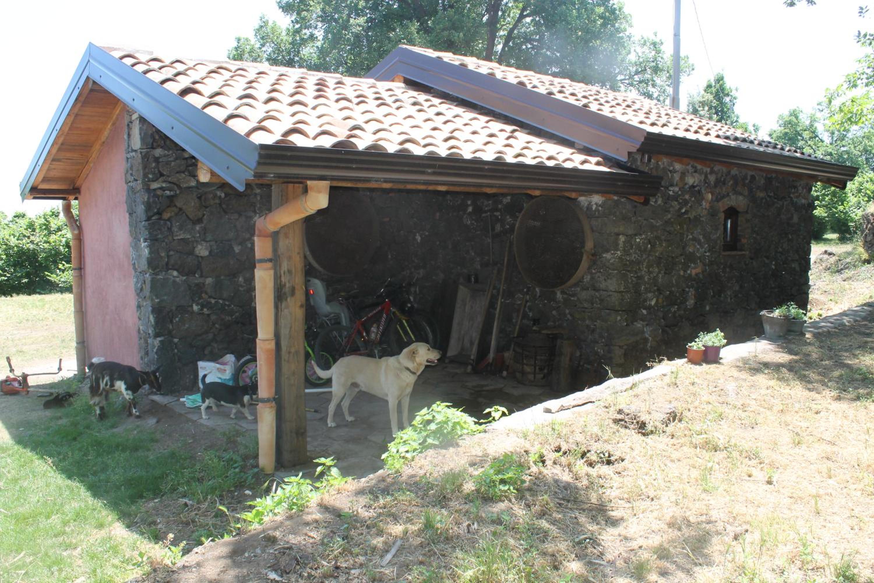 Photo 48