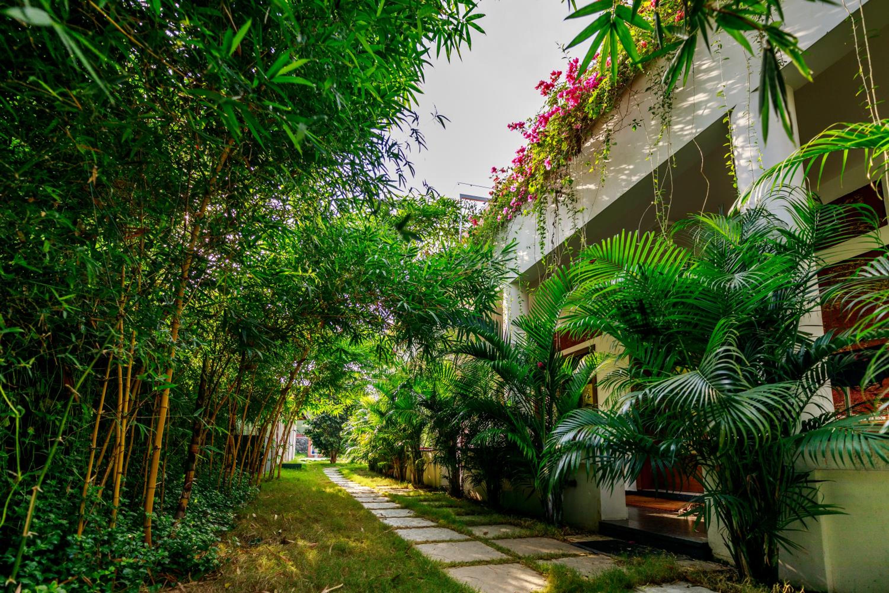 SR Jungle Resort