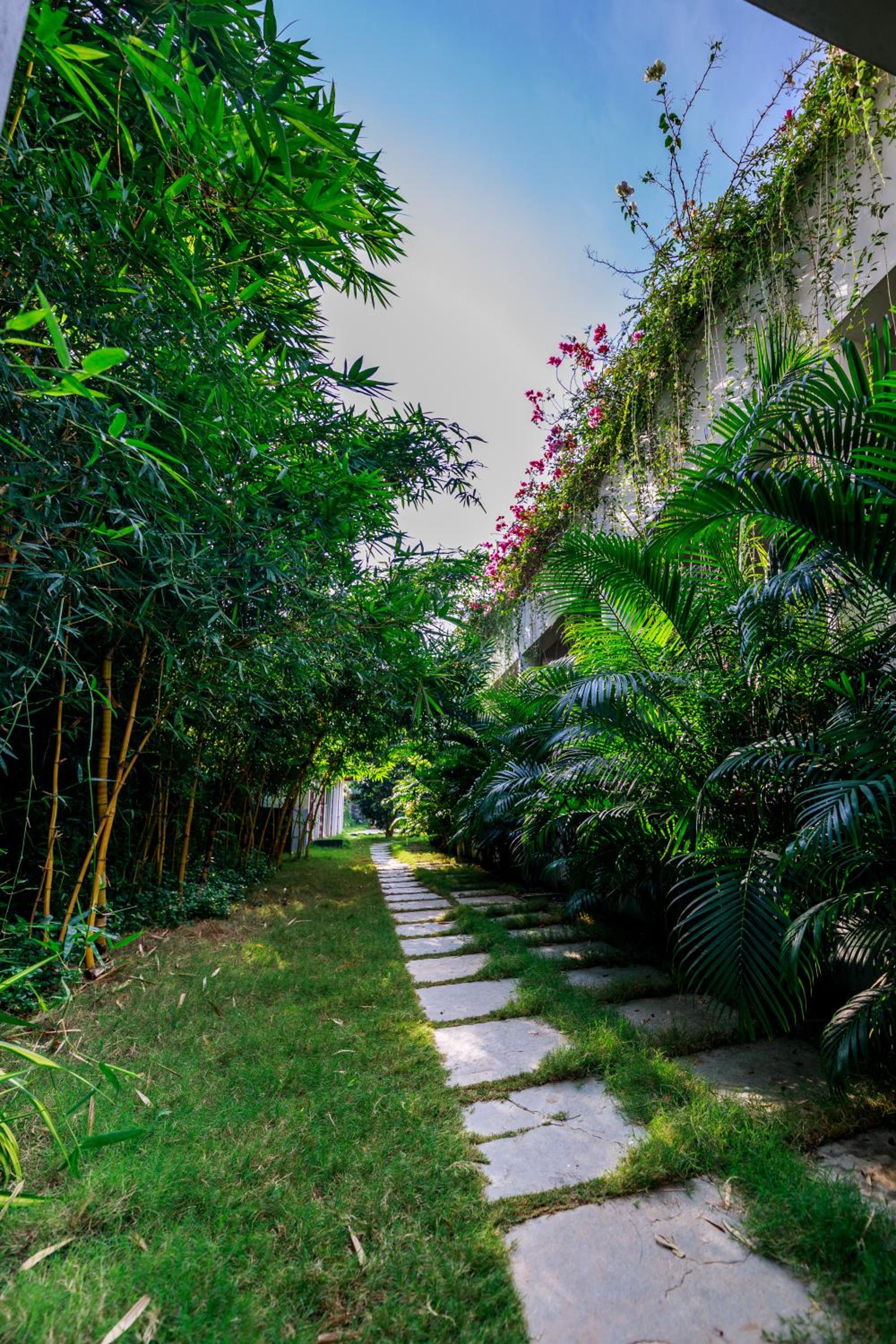 SR Jungle Resort