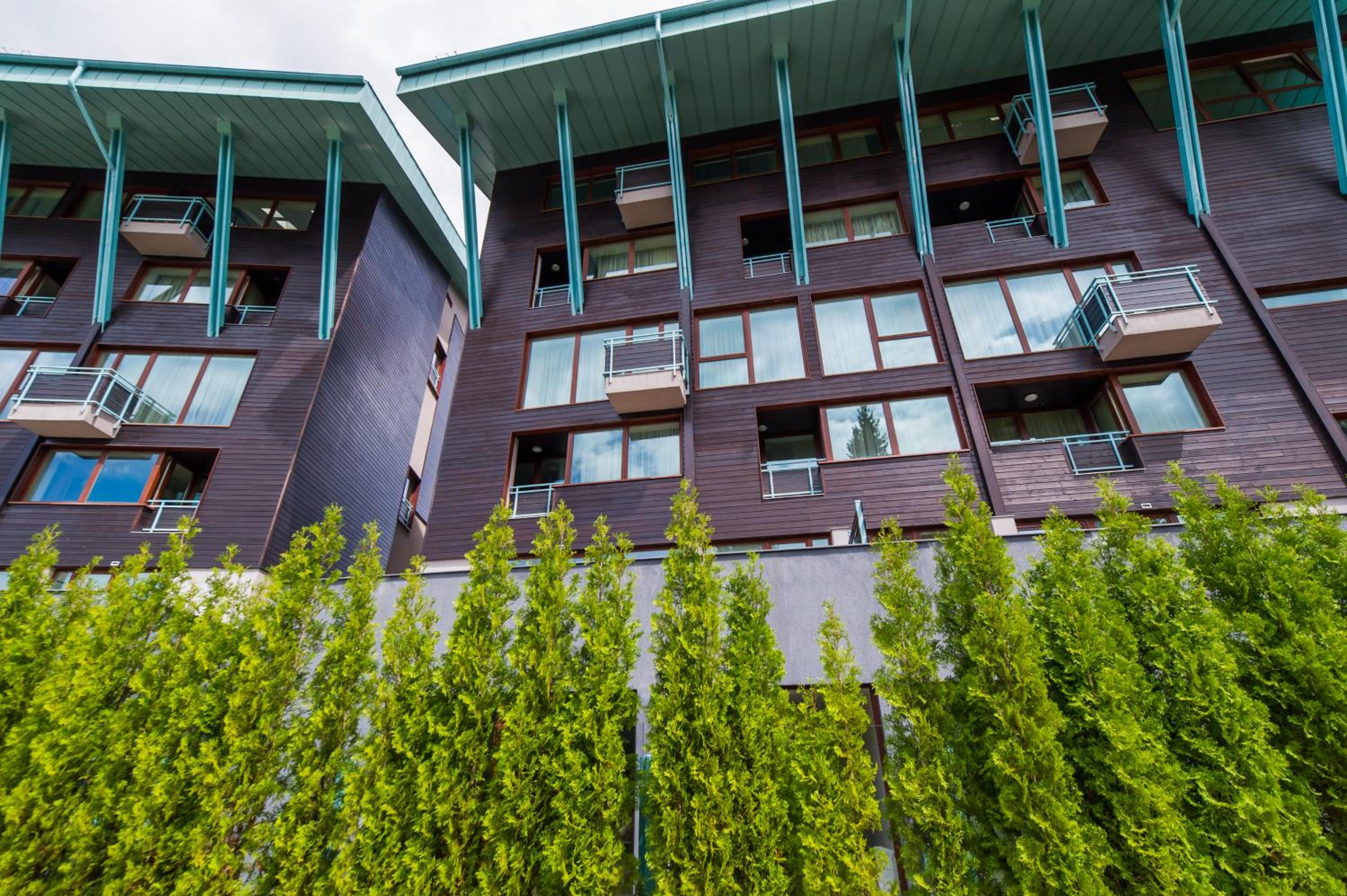 Timber view apartment Silver Mountain Poiana Brasov view 3