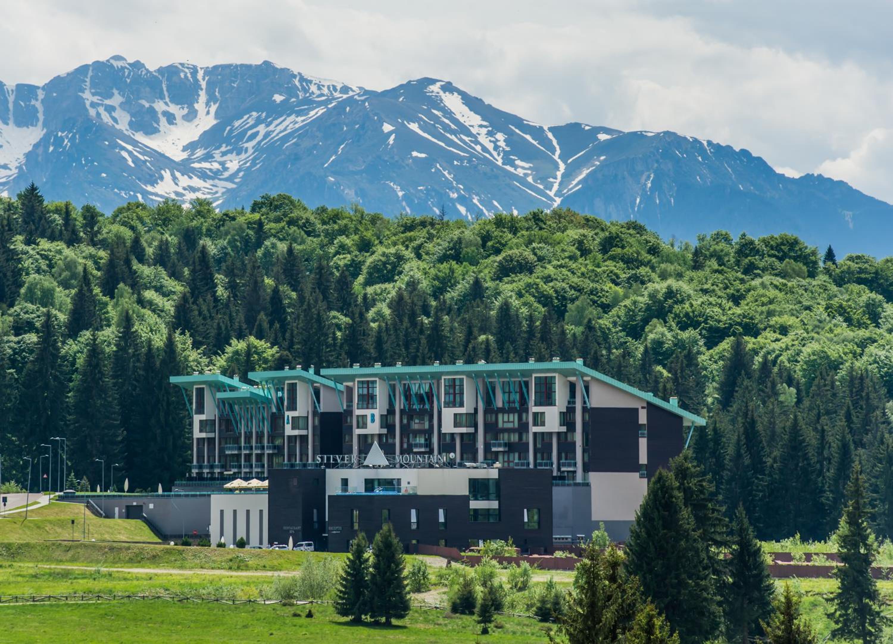 Timber view apartment Silver Mountain Poiana Brasov view 5