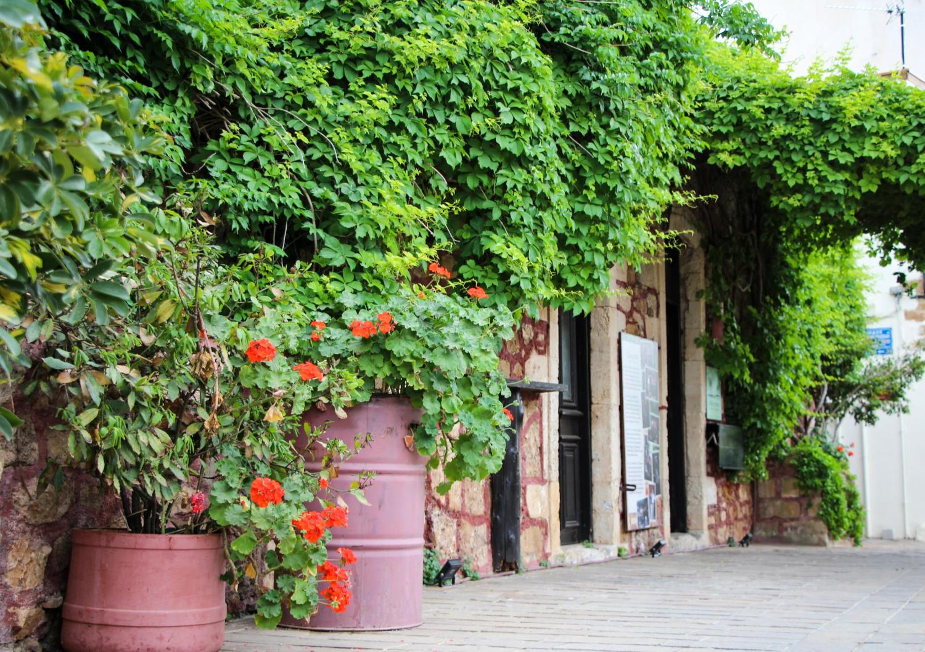 Spolia Art Maison