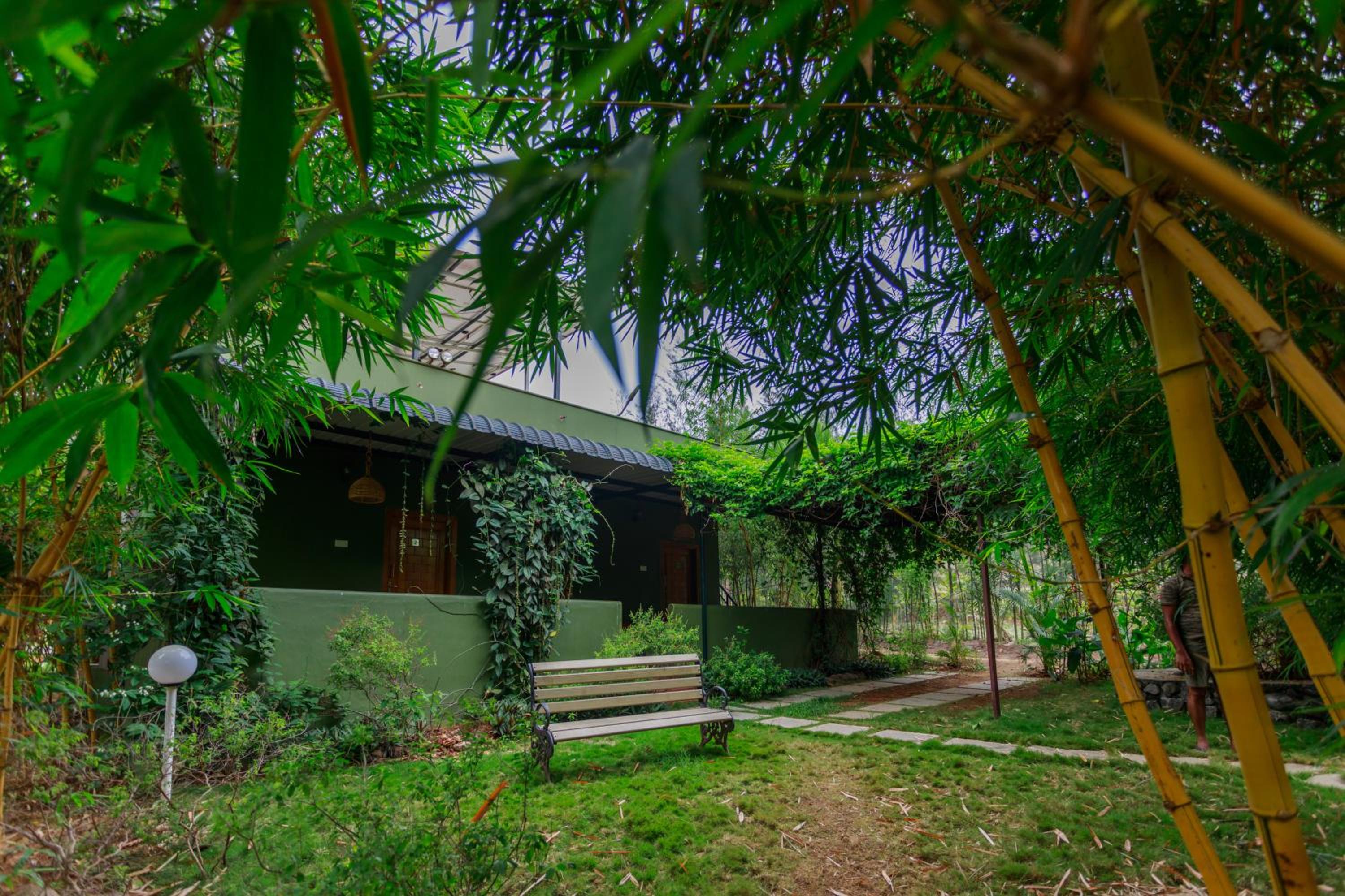 SR Jungle Resort