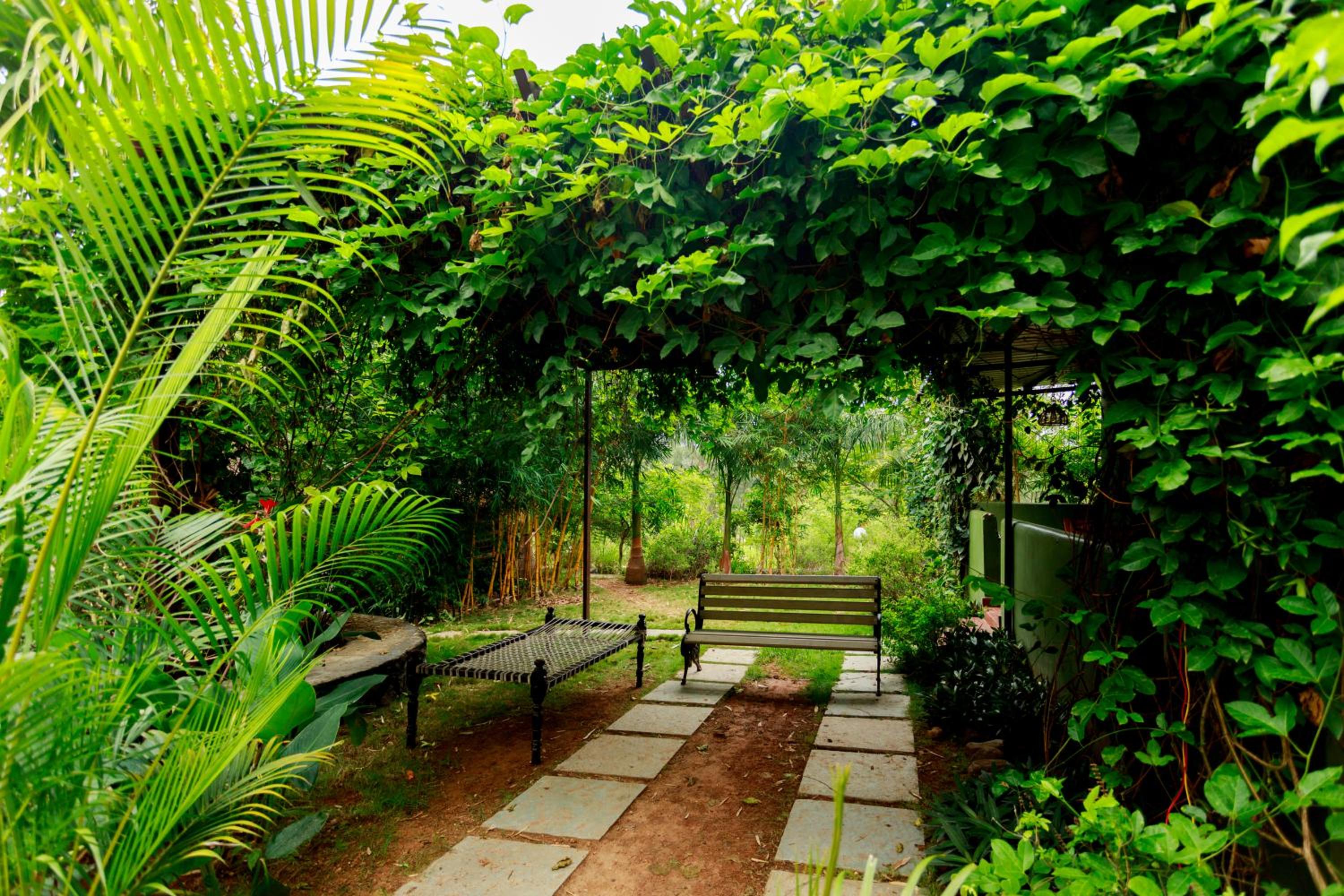 SR Jungle Resort