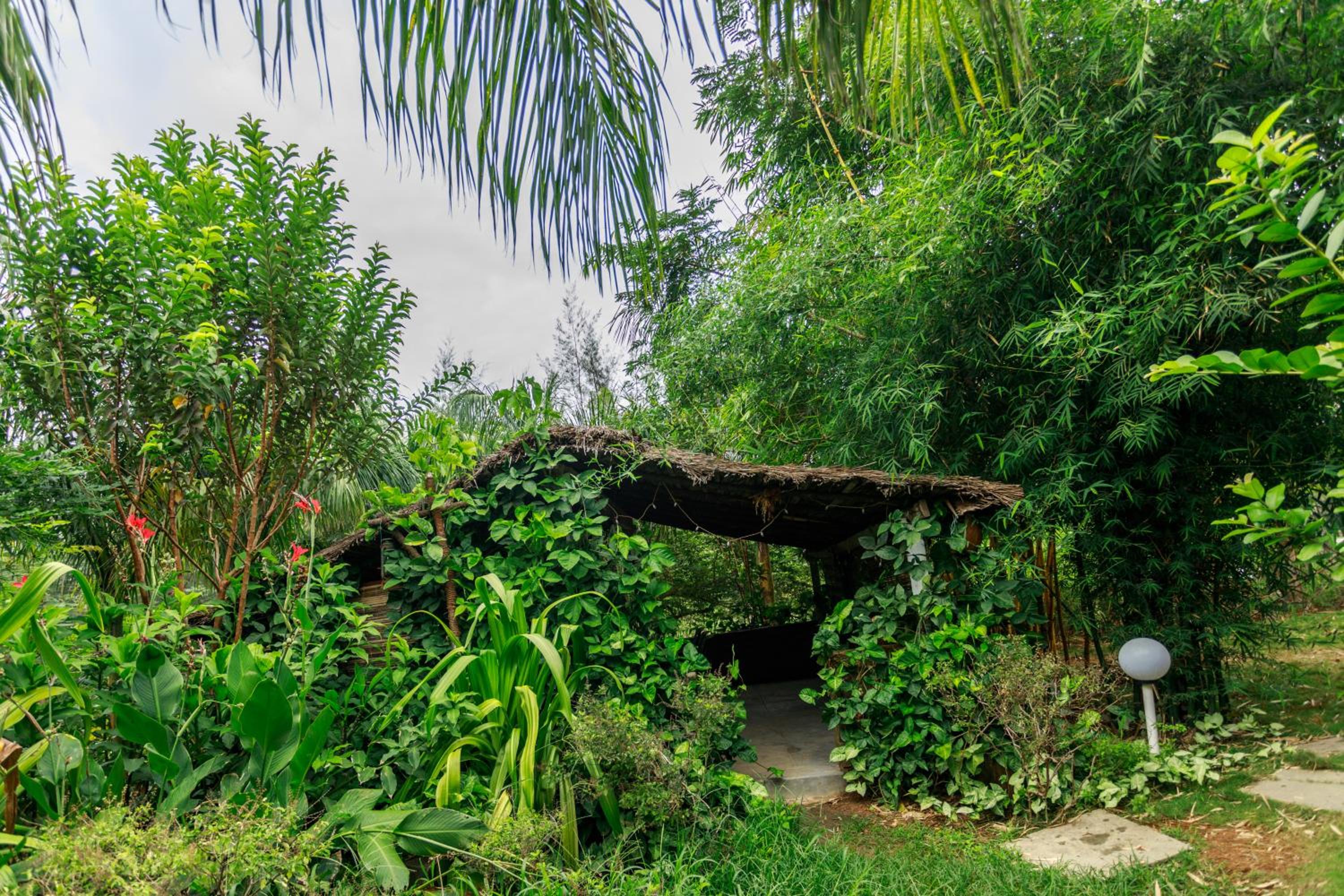 SR Jungle Resort