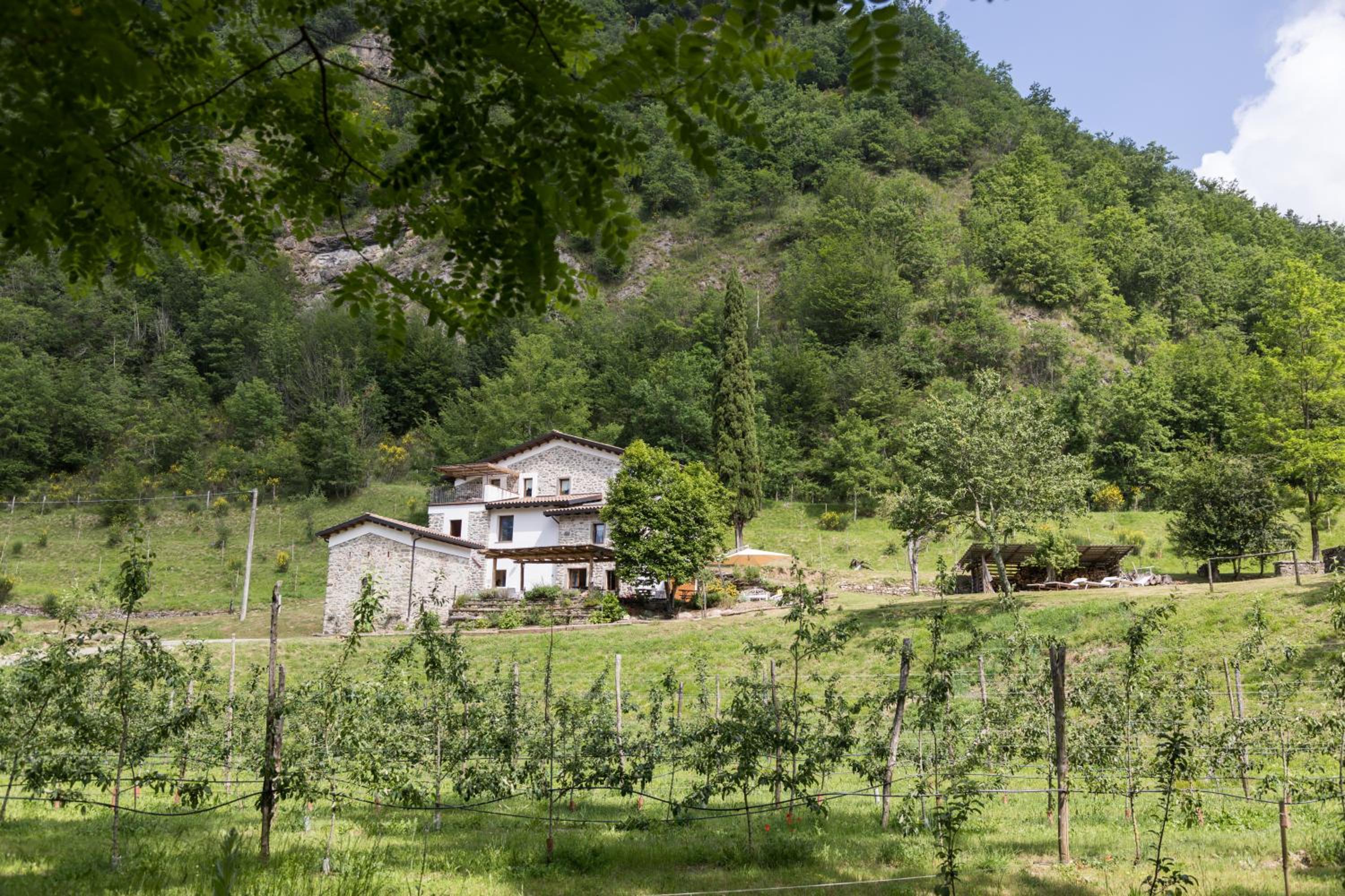 Photo 41