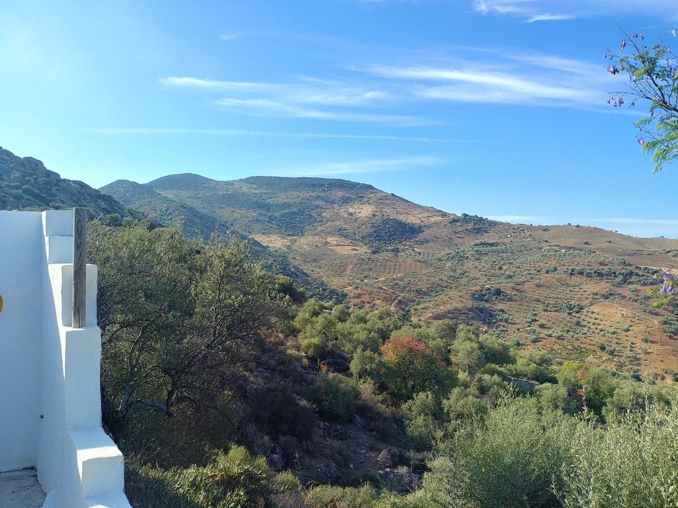 Finca Gran Cerros view 4
