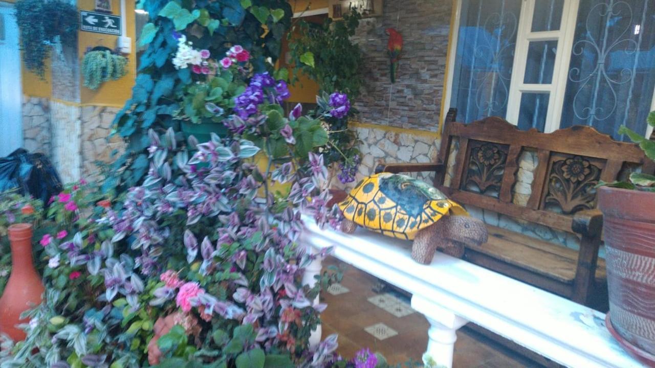 Photo 47